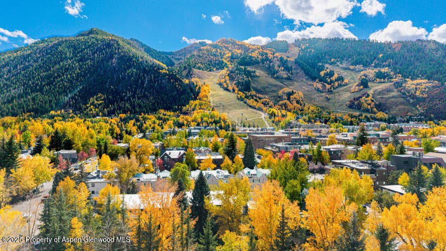 725 E Main Street 309, Aspen, CO 81611 - Photo 44