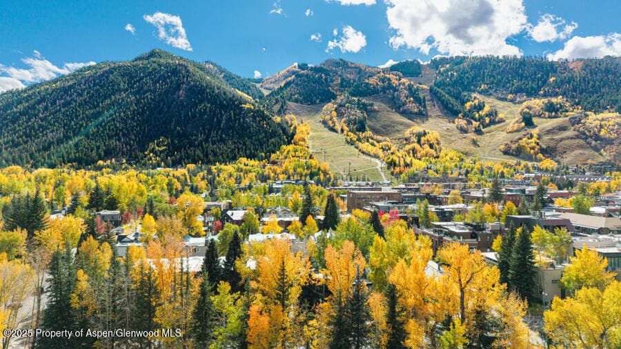 725 E Main Street 309, Aspen, CO 81611 - Photo 45