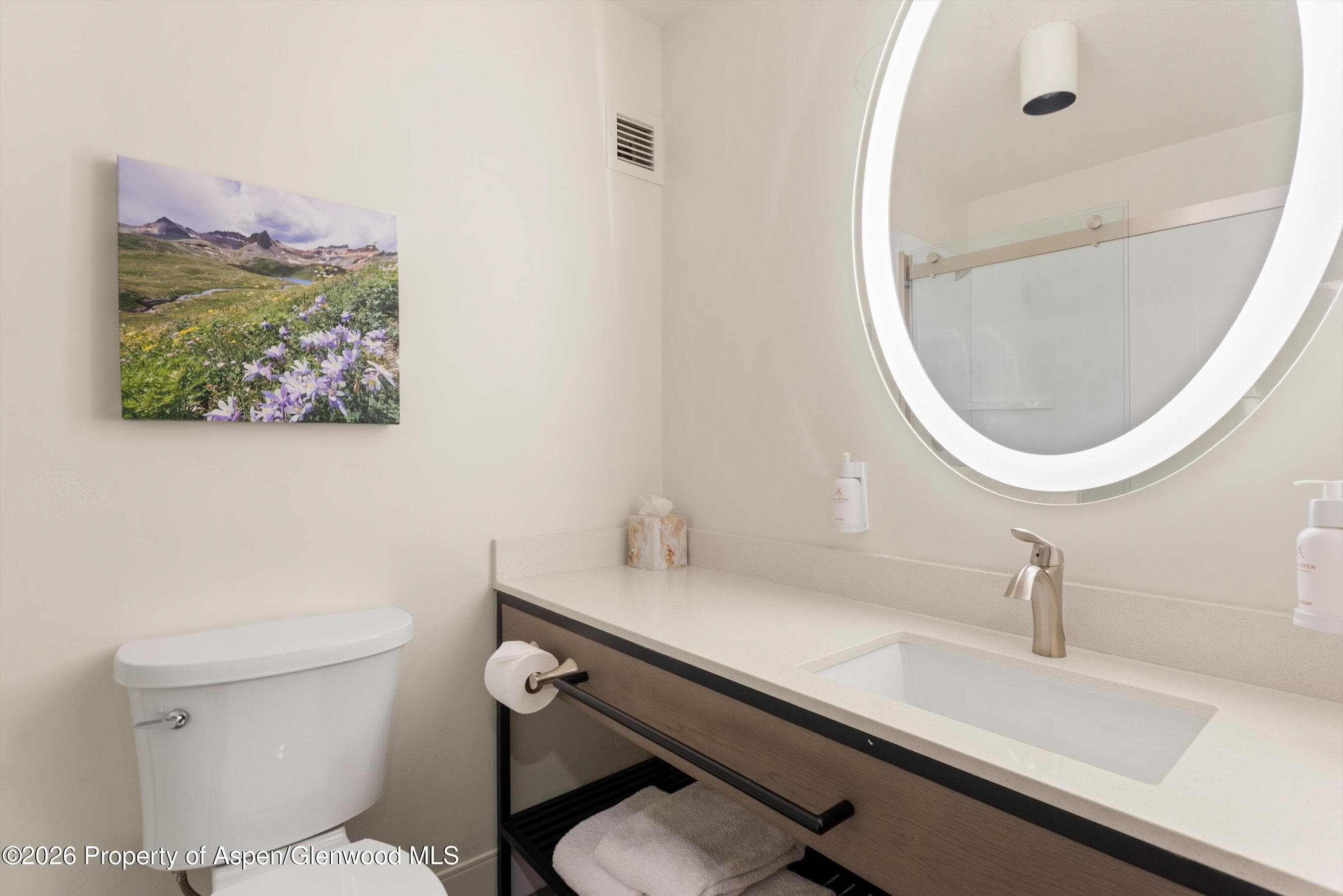 38750 Hwy 82 1109, Aspen, CO 81611 - Photo 13