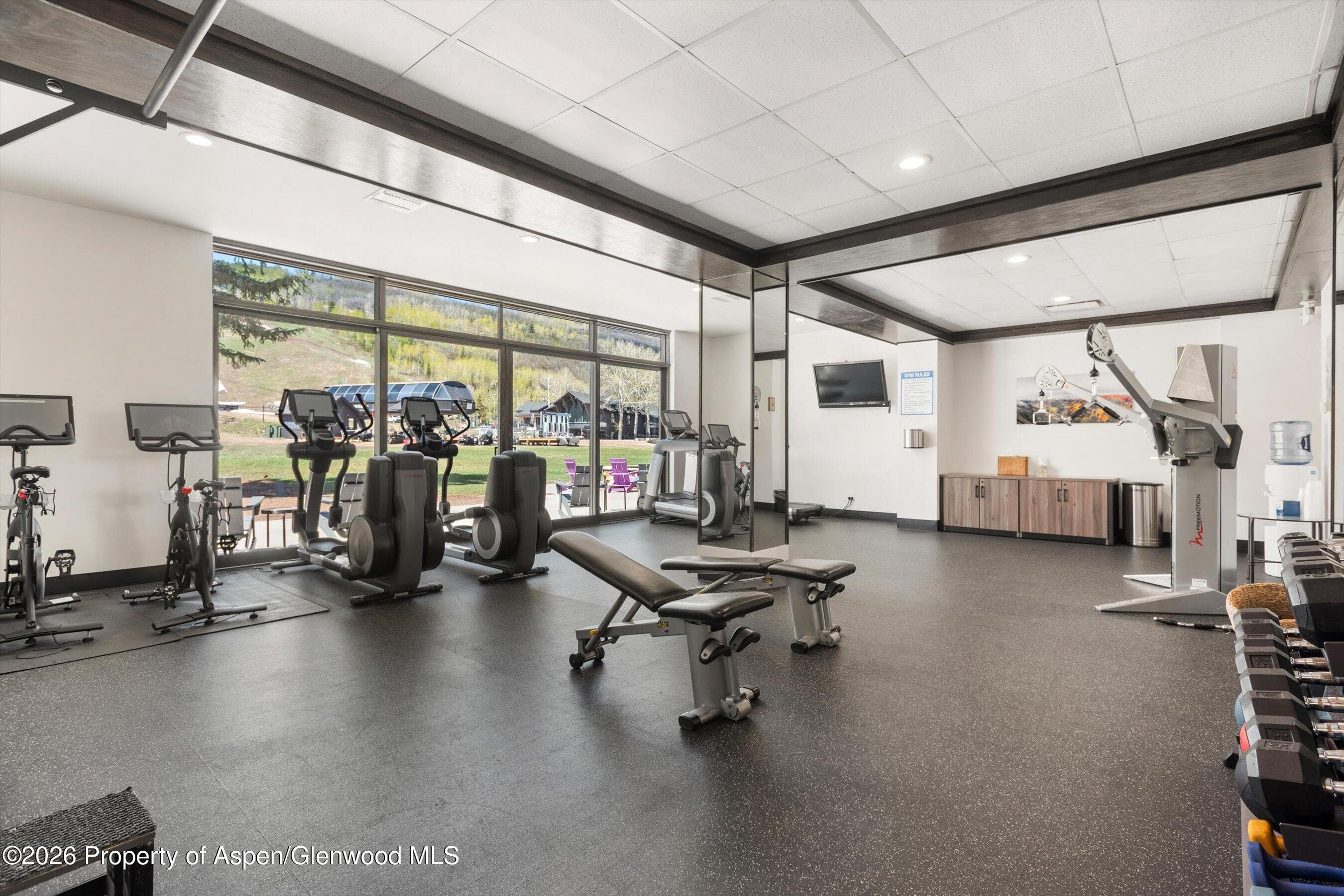 38750 Hwy 82 1109, Aspen, CO 81611 - Photo 18