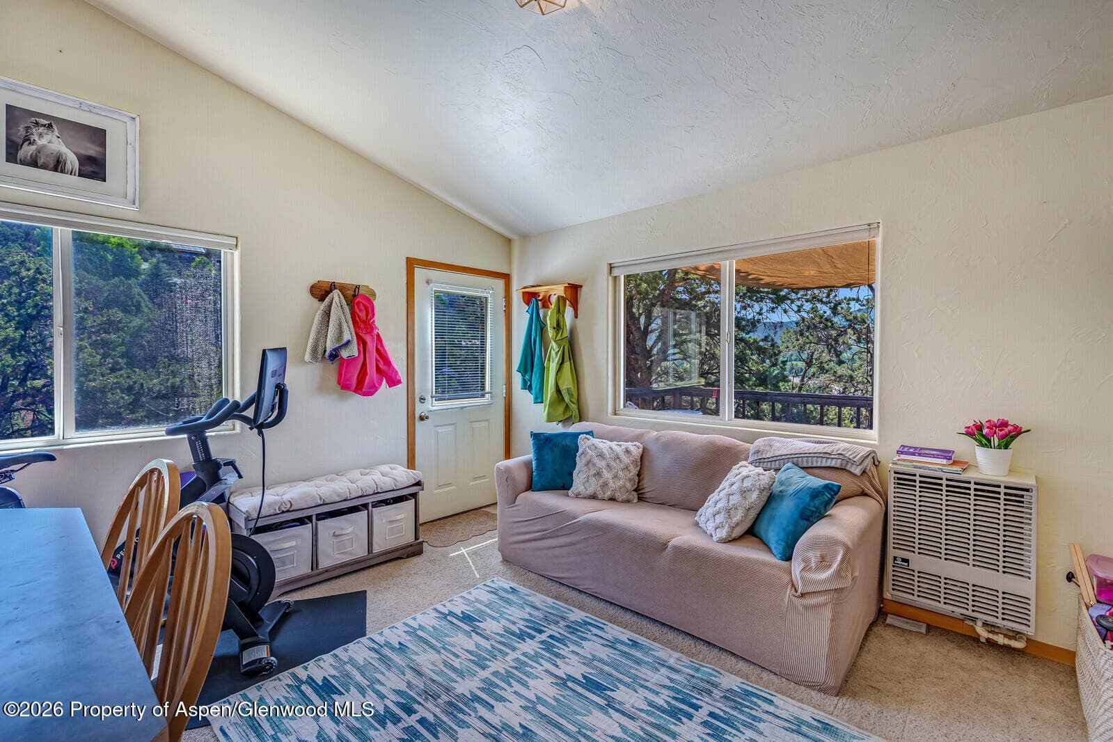 472 Original Road, Basalt, CO 81621 - Photo 5