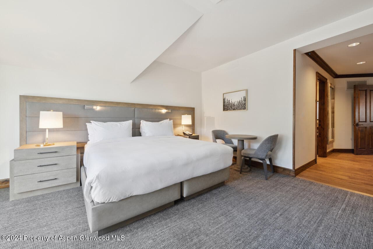 415 E Dean St, Unit 45, Week 12, Aspen, CO 81611 - Photo 20