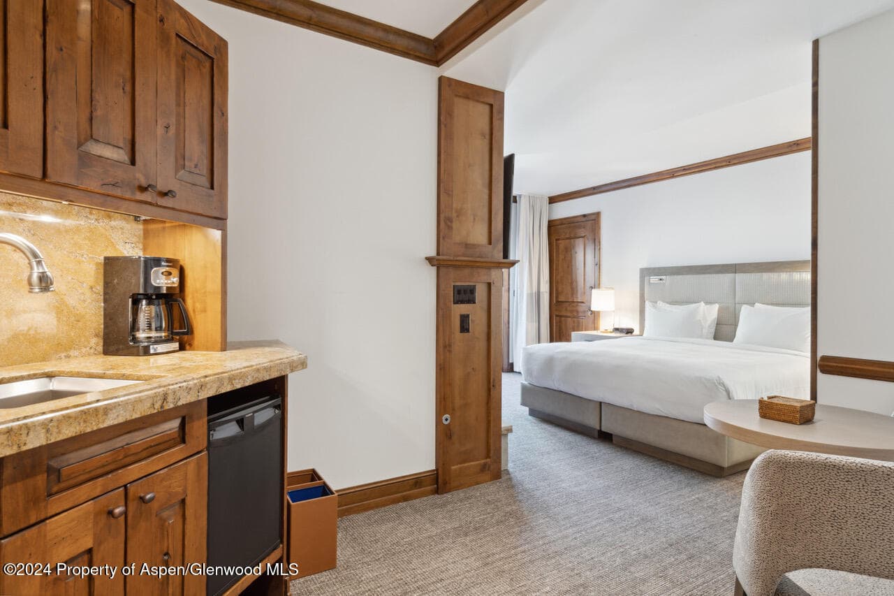 415 E Dean St, Unit 45, Week 12, Aspen, CO 81611 - Photo 29