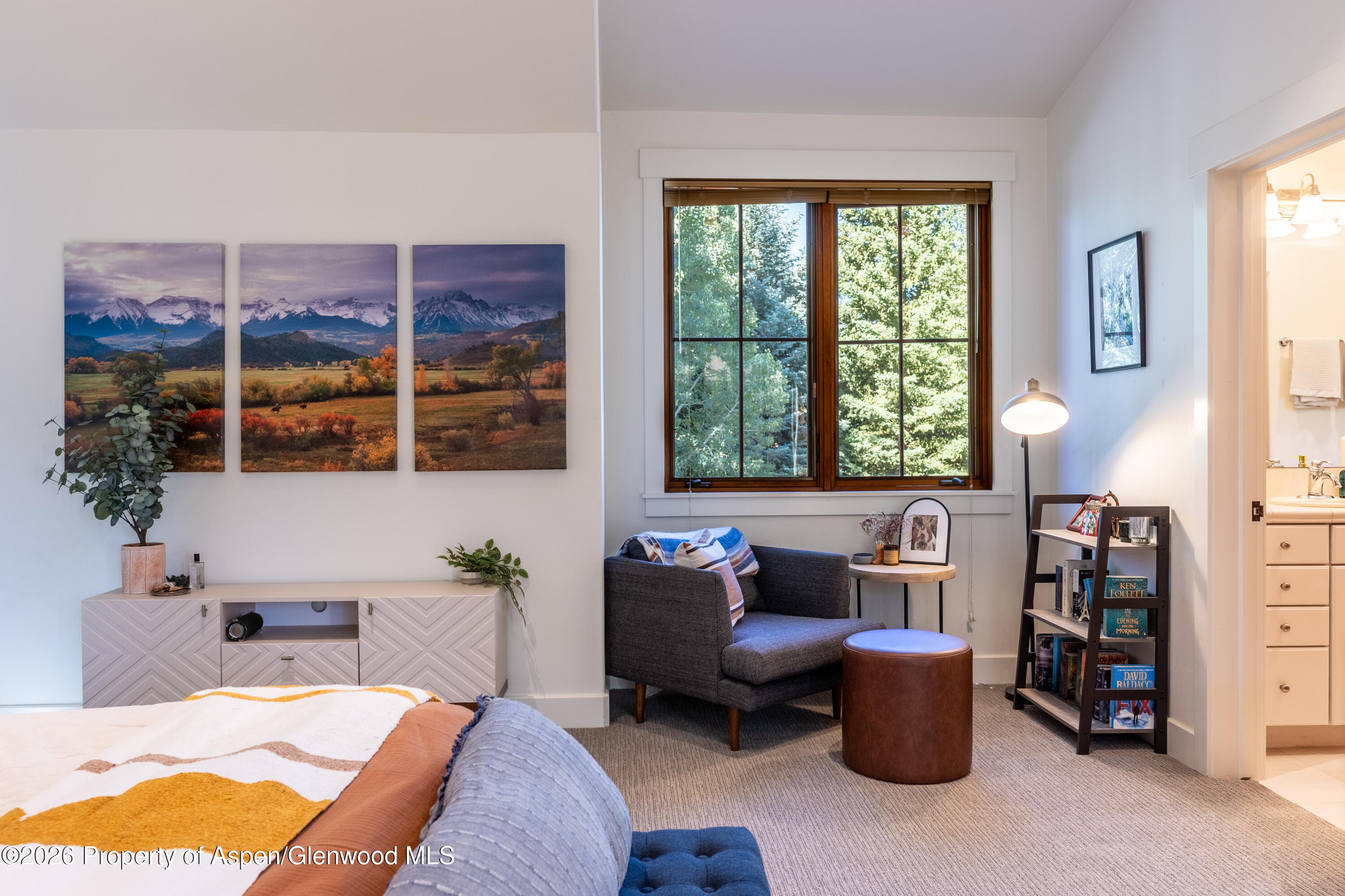 802 Lakeside Drive, Carbondale, CO 81623 - Photo 46