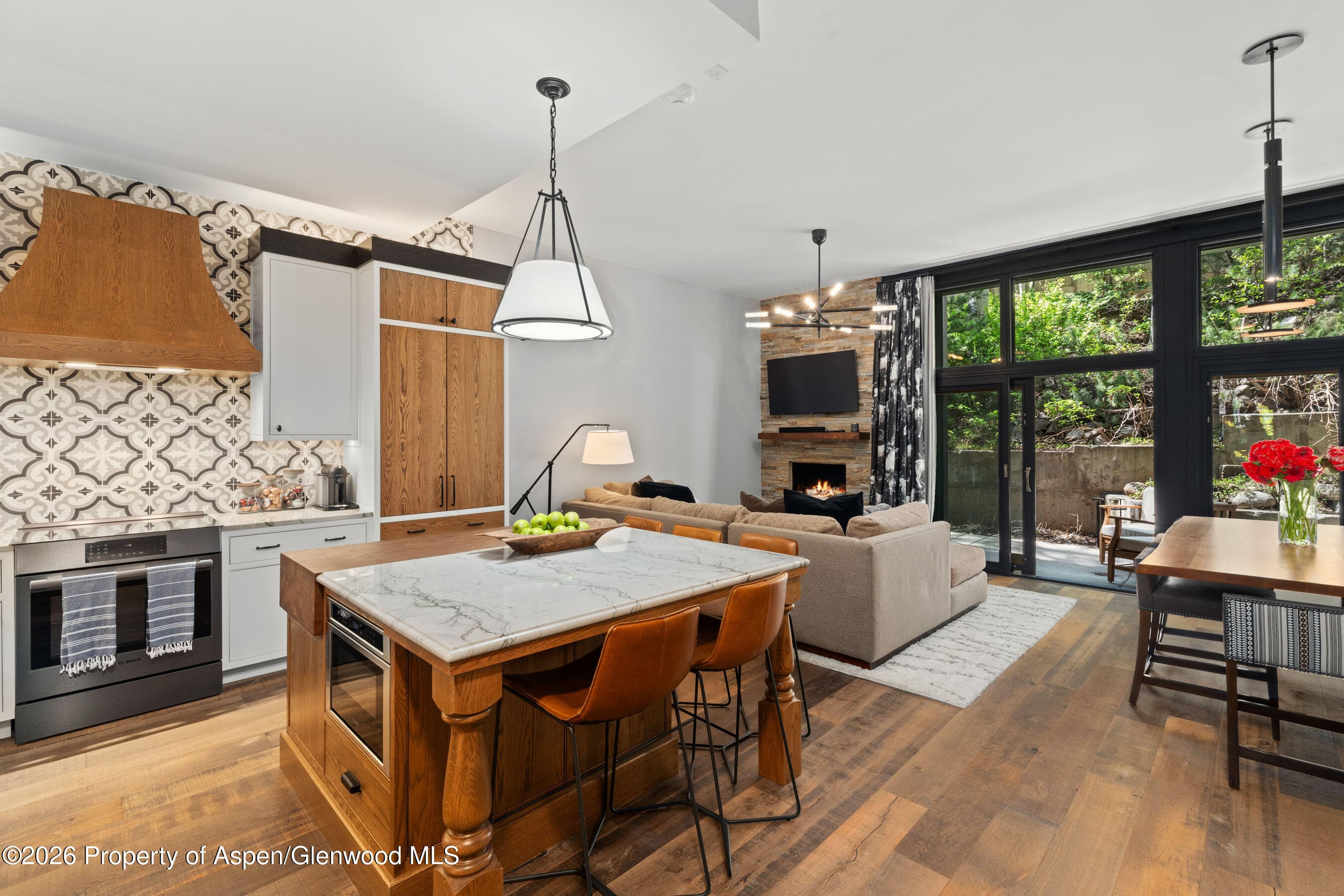 800 S Mill Street 105, Aspen, CO 81611 - Photo 4