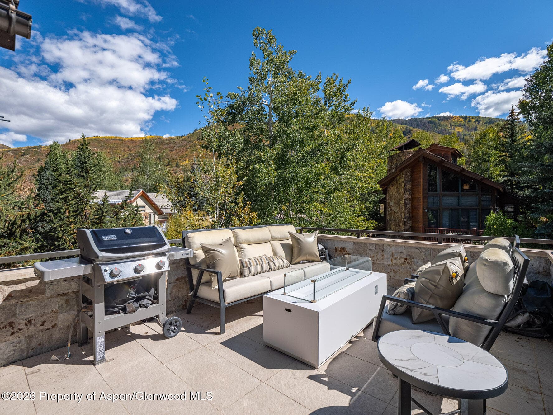 1154 E Cooper Avenue Unit B, Aspen, CO 81611 - Photo 35