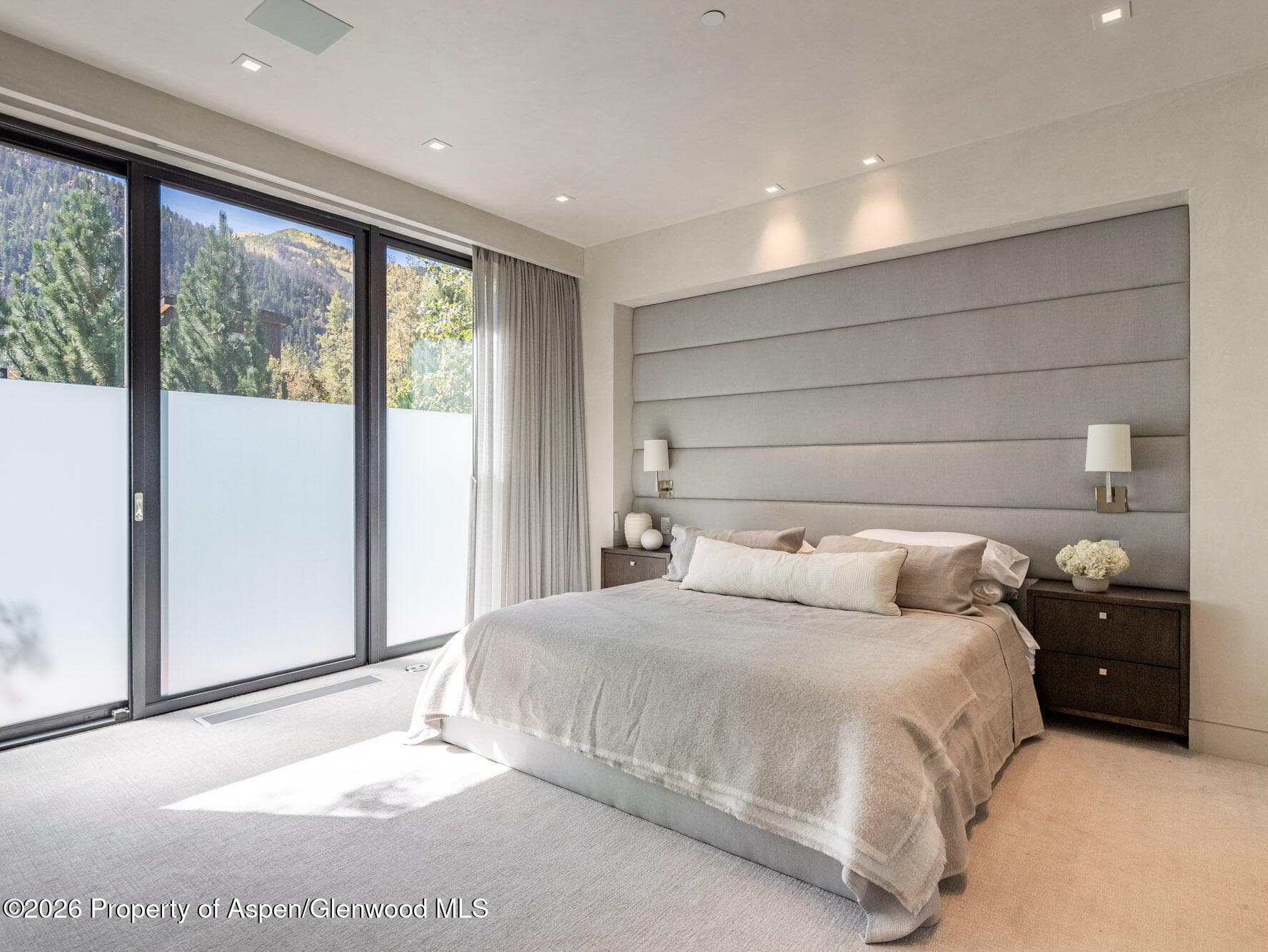 1154 E Cooper Avenue Unit B, Aspen, CO 81611 - Photo 9