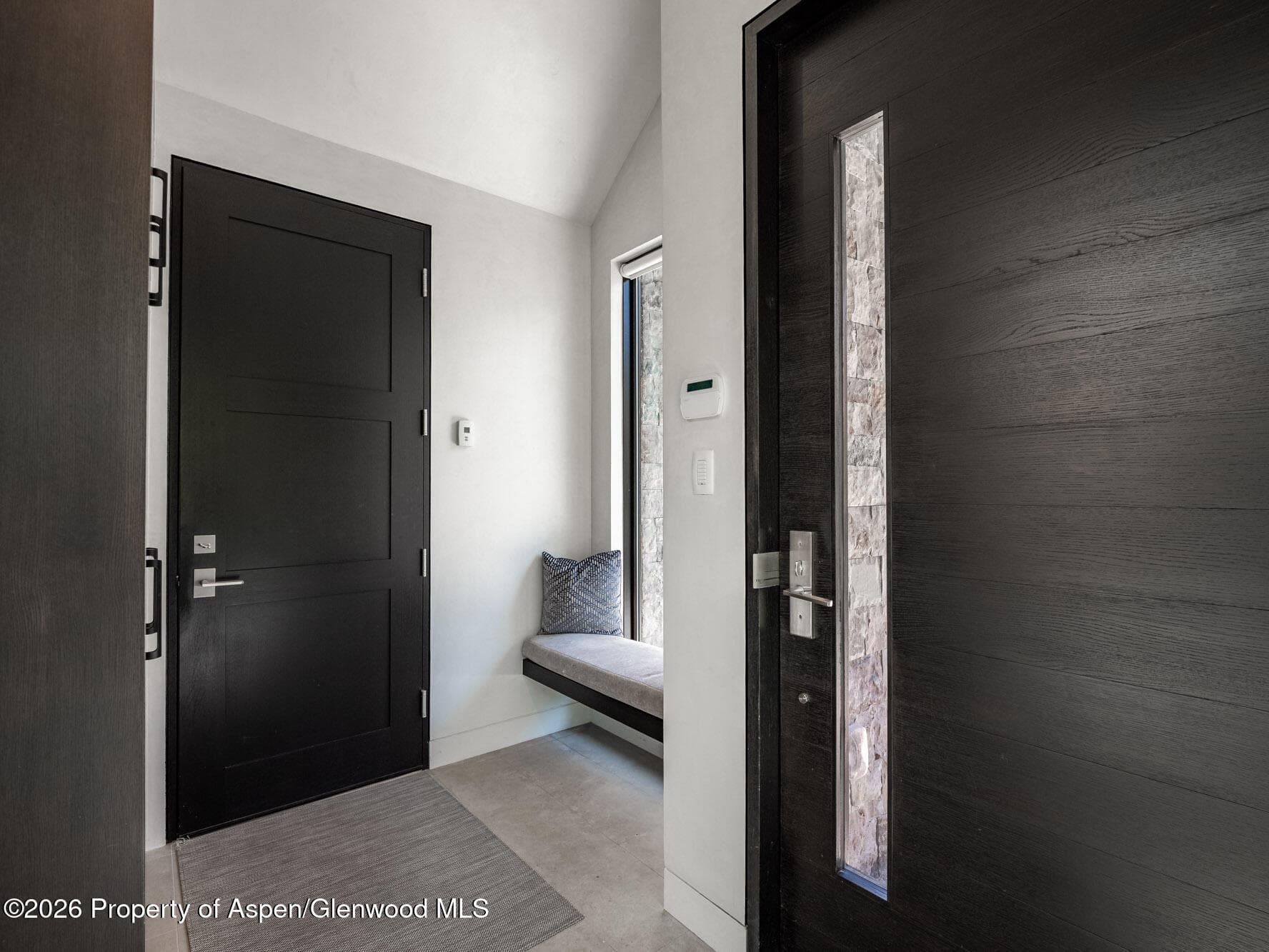 1154 E Cooper Avenue Unit B, Aspen, CO 81611 - Photo 30