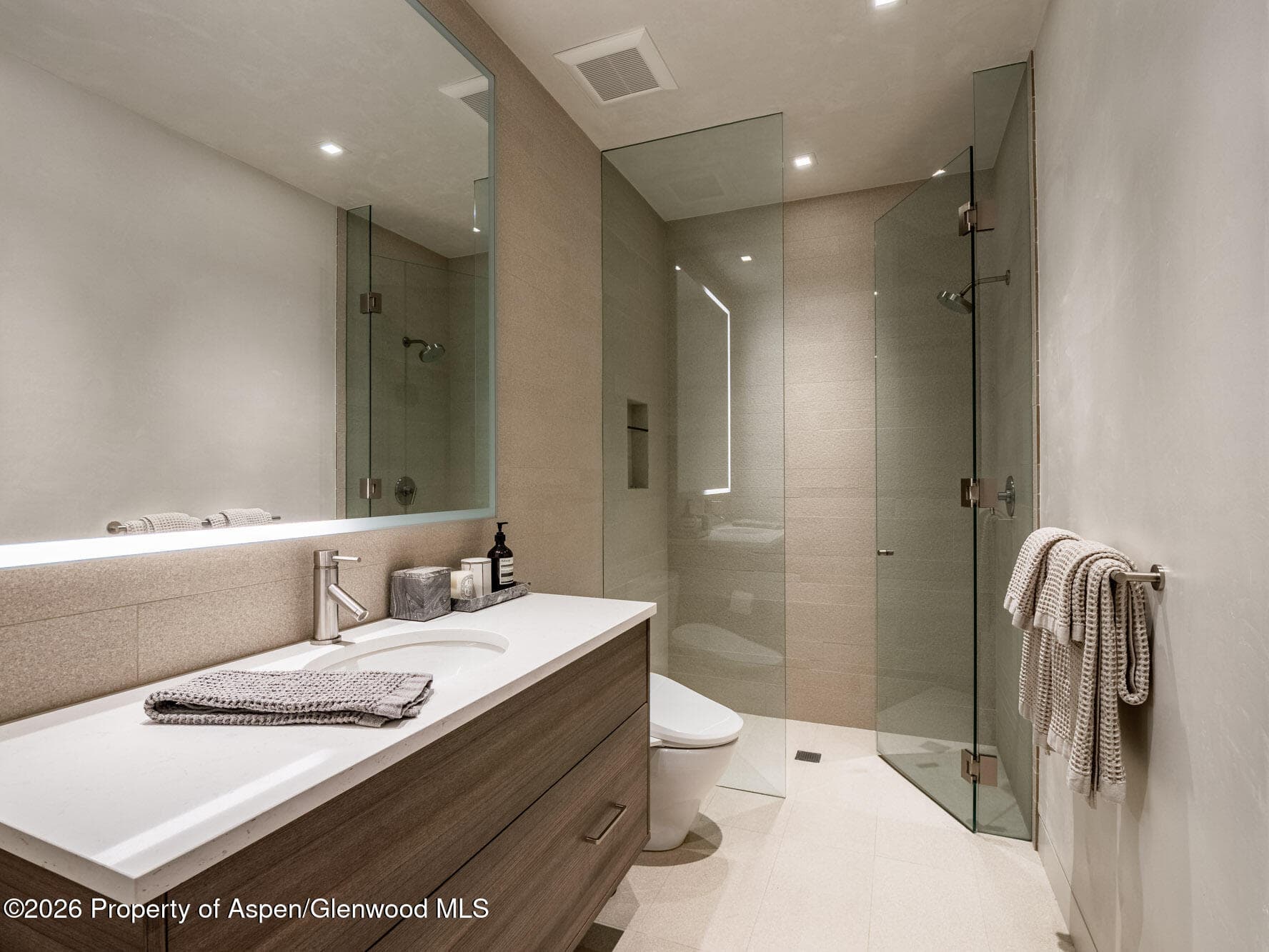 1154 E Cooper Avenue Unit B, Aspen, CO 81611 - Photo 29