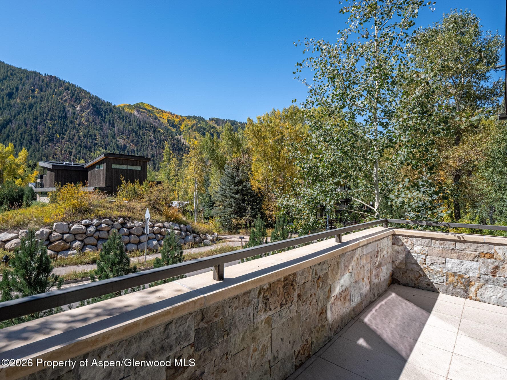 1154 E Cooper Avenue Unit B, Aspen, CO 81611 - Photo 33