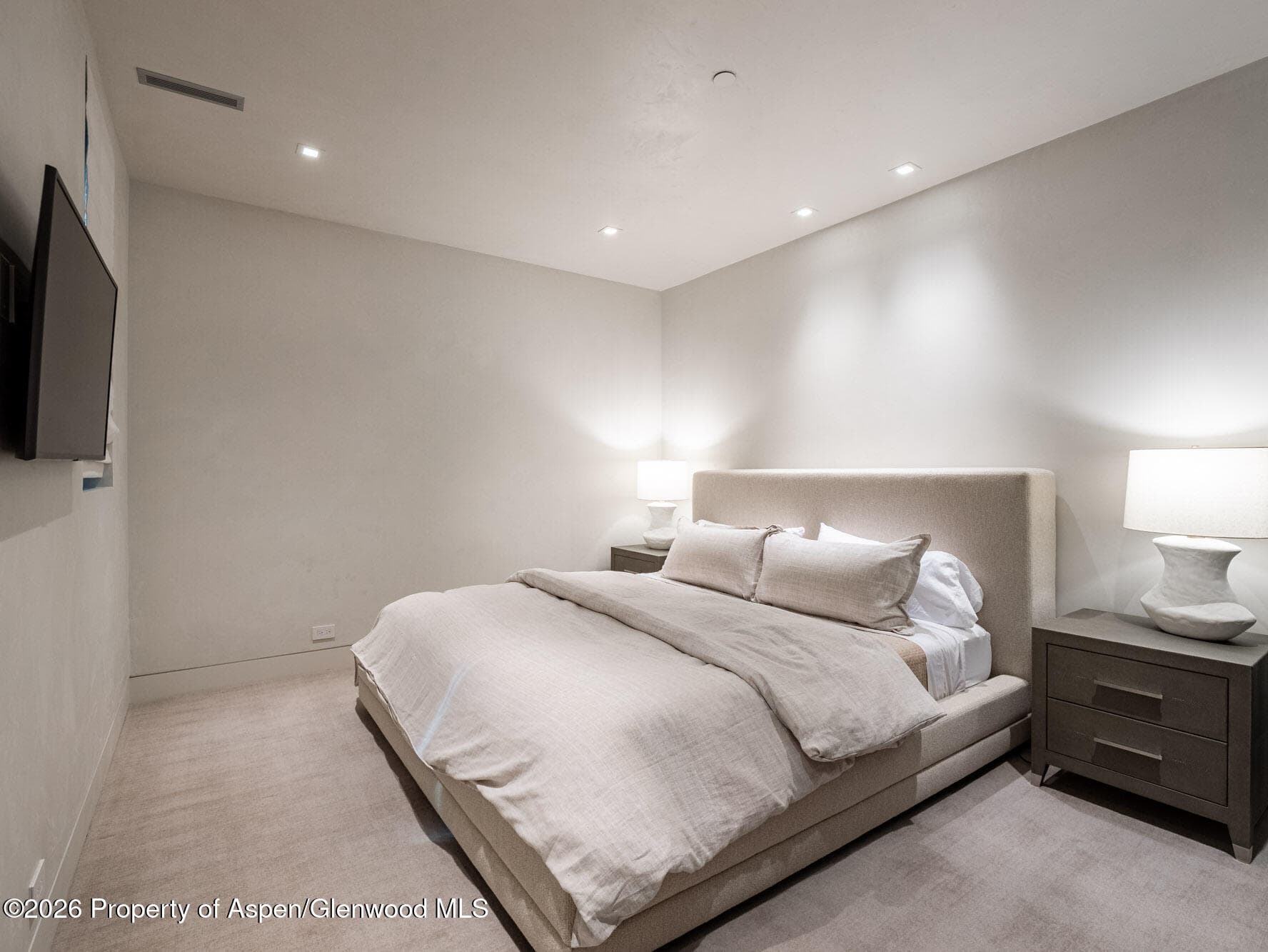 1154 E Cooper Avenue Unit B, Aspen, CO 81611 - Photo 28