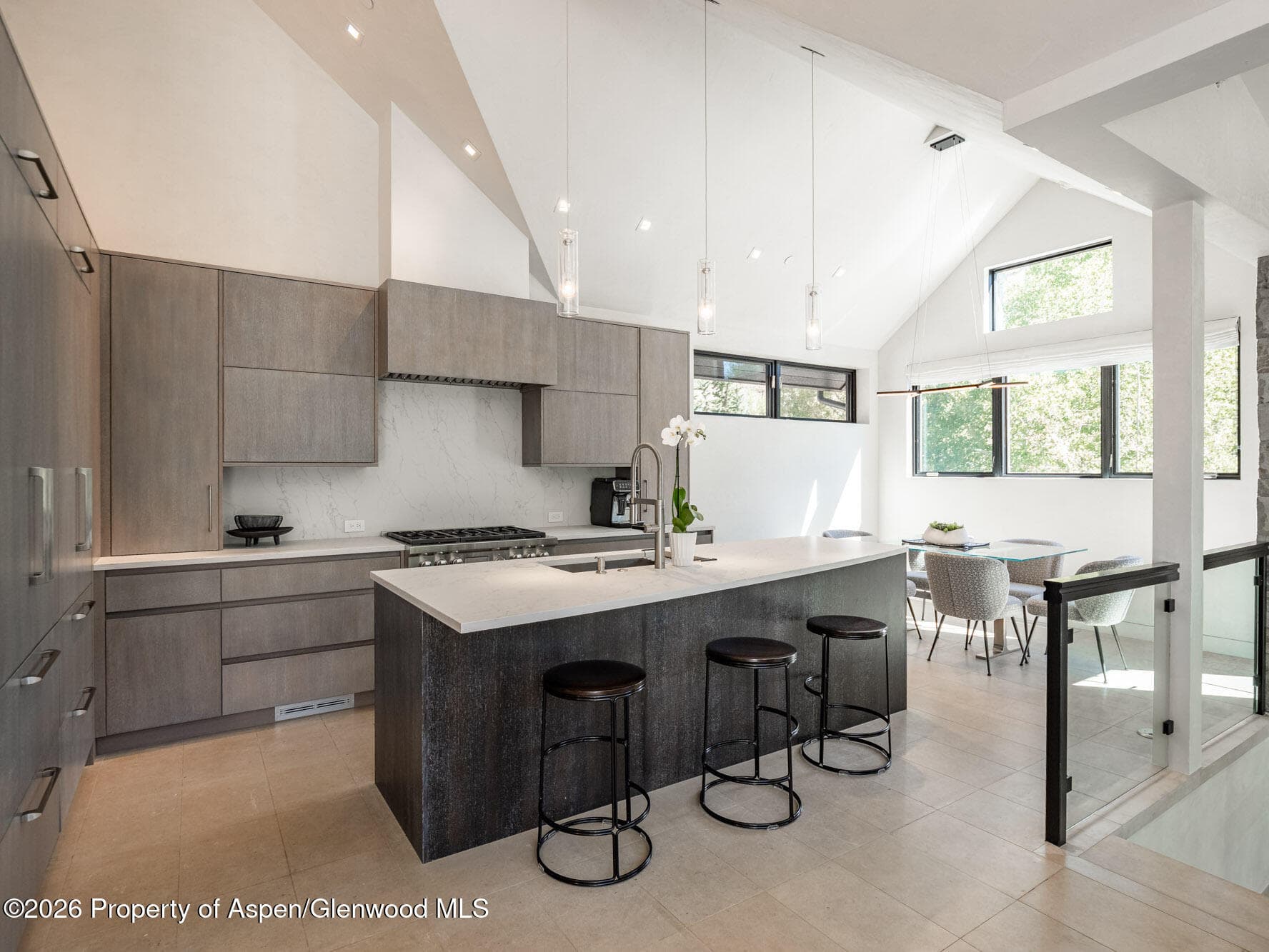 1154 E Cooper Avenue Unit B, Aspen, CO 81611 - Photo 6