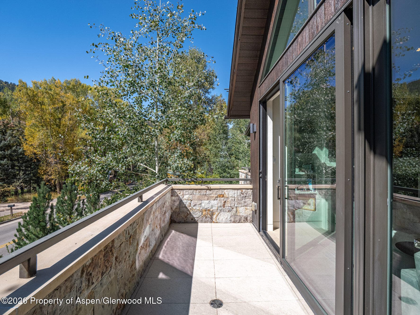 1154 E Cooper Avenue Unit B, Aspen, CO 81611 - Photo 34