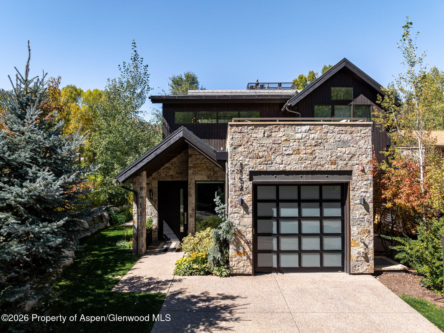 1154 E Cooper Avenue Unit B, Aspen, CO 81611 - Photo 39