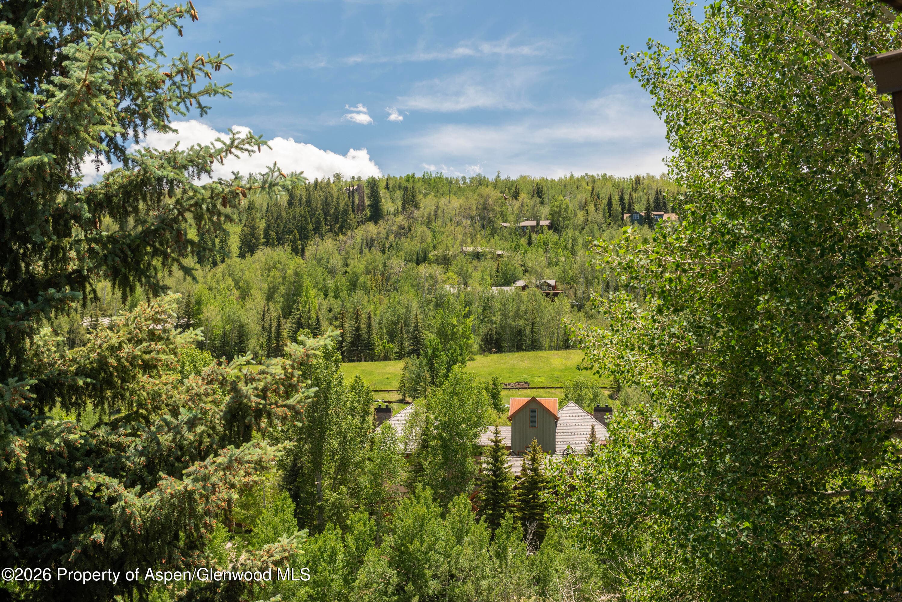 35 Upper Woodbridge Road 32ef, Snowmass Village, CO 81615 - Photo 8
