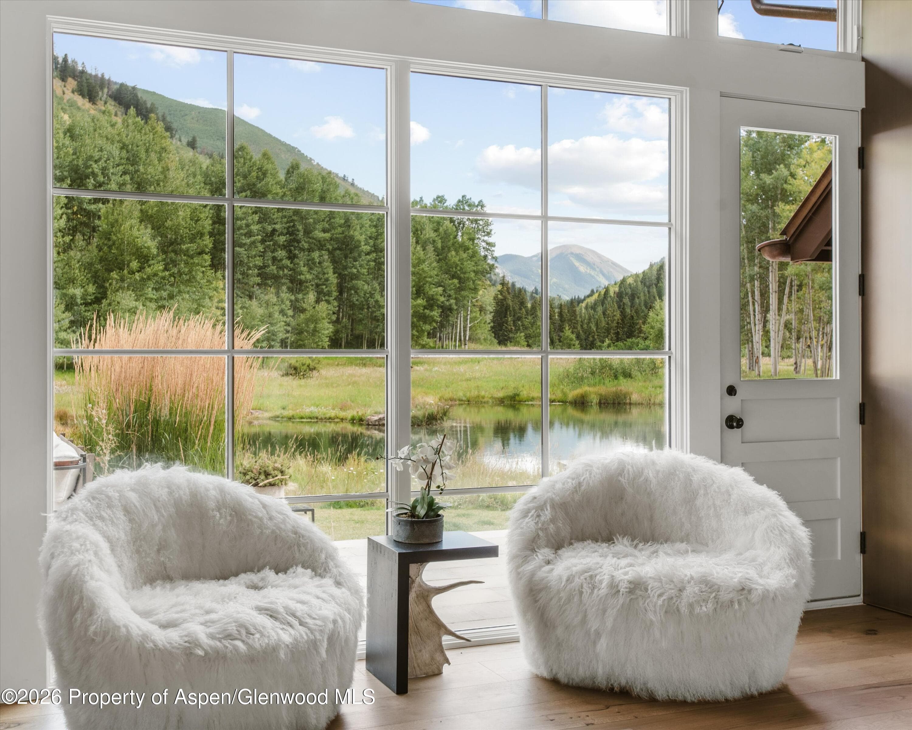 5387 Castle Creek Road, Aspen, CO 81612 - Photo 7