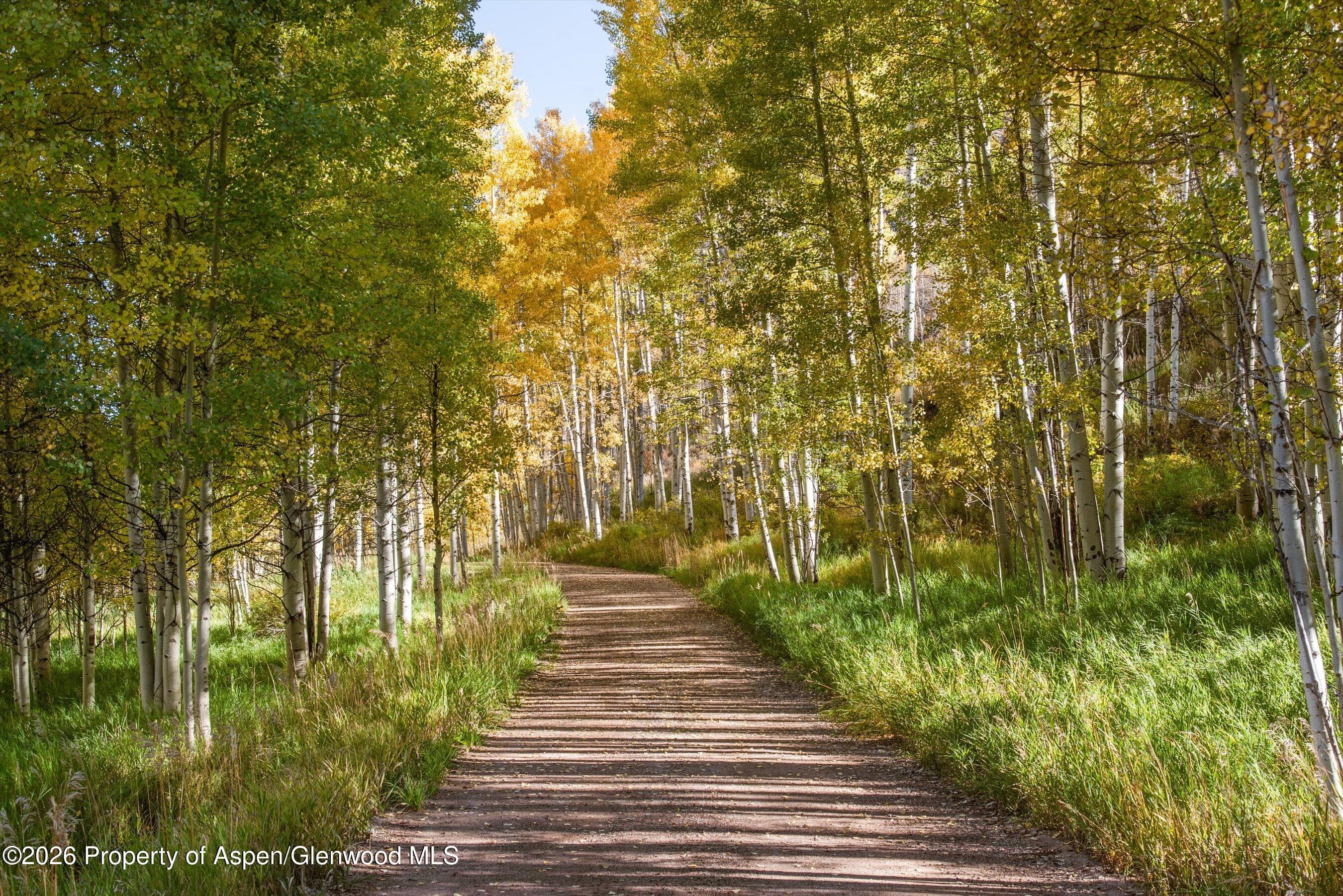 5387 Castle Creek Road, Aspen, CO 81612 - Photo 20