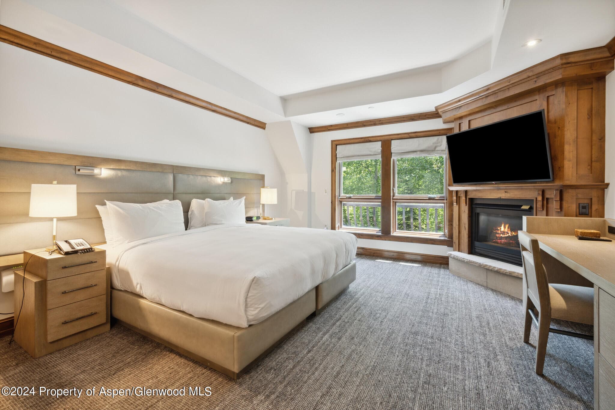 415 E Dean St., Unit 37, Week 6, Aspen, CO 81611 - Photo 14