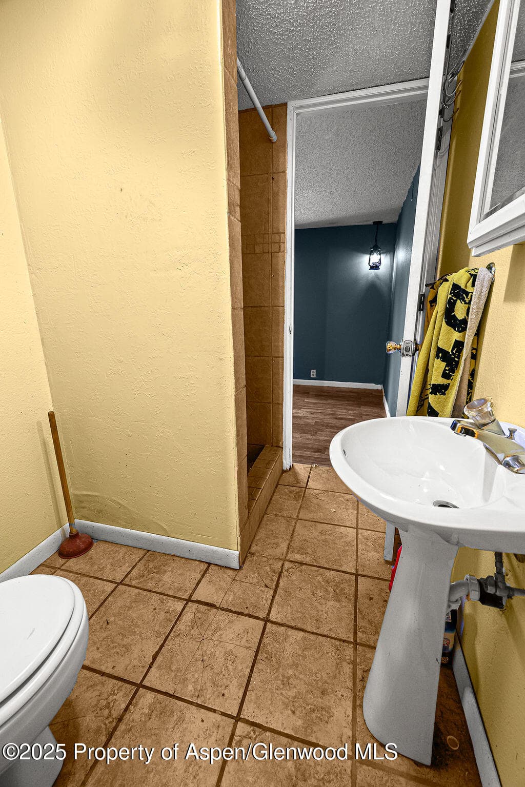 1159 Barclay Street, Craig, CO 81625 - Photo 13