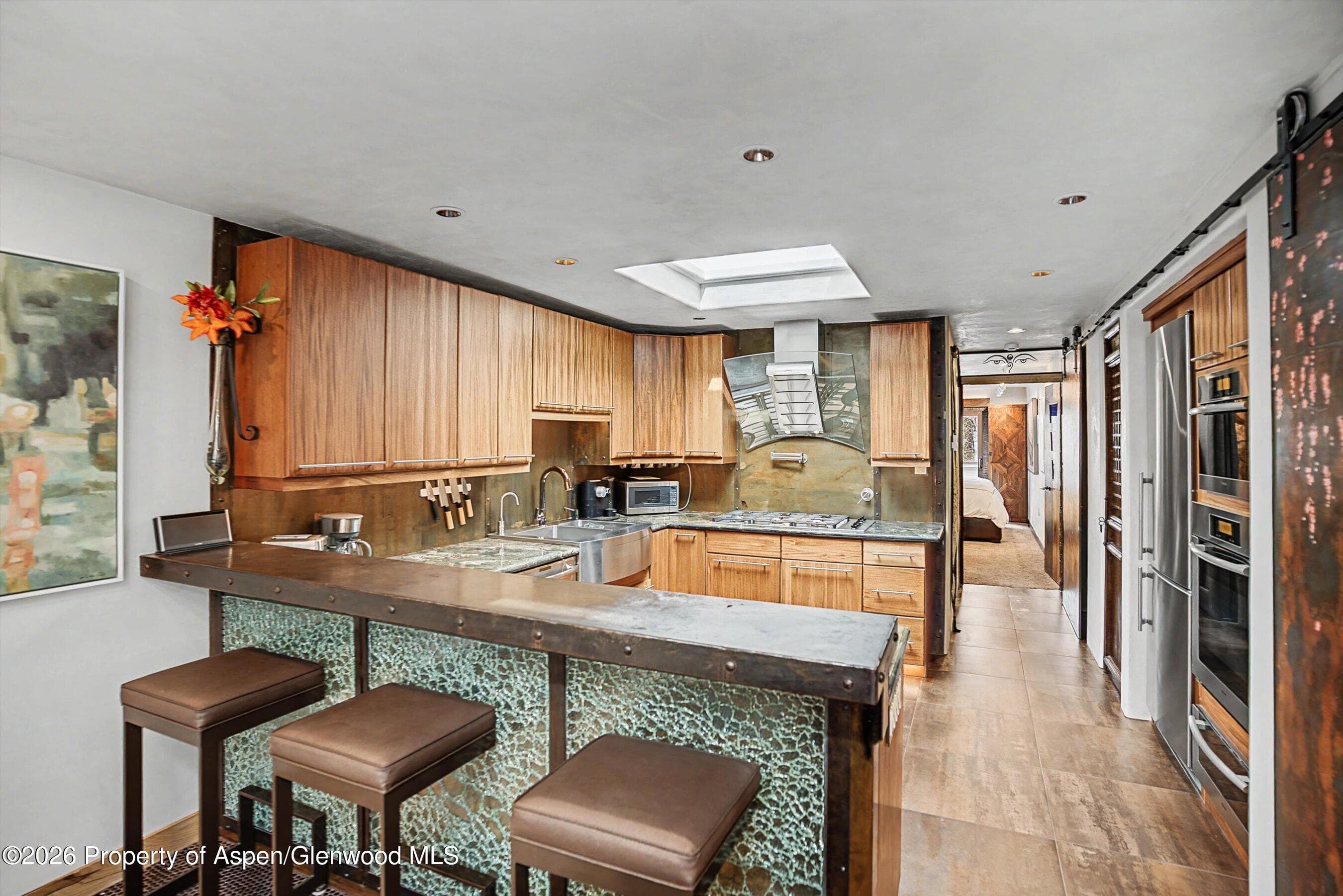 100 E Dean Street 3c, Aspen, CO 81611 - Photo 3