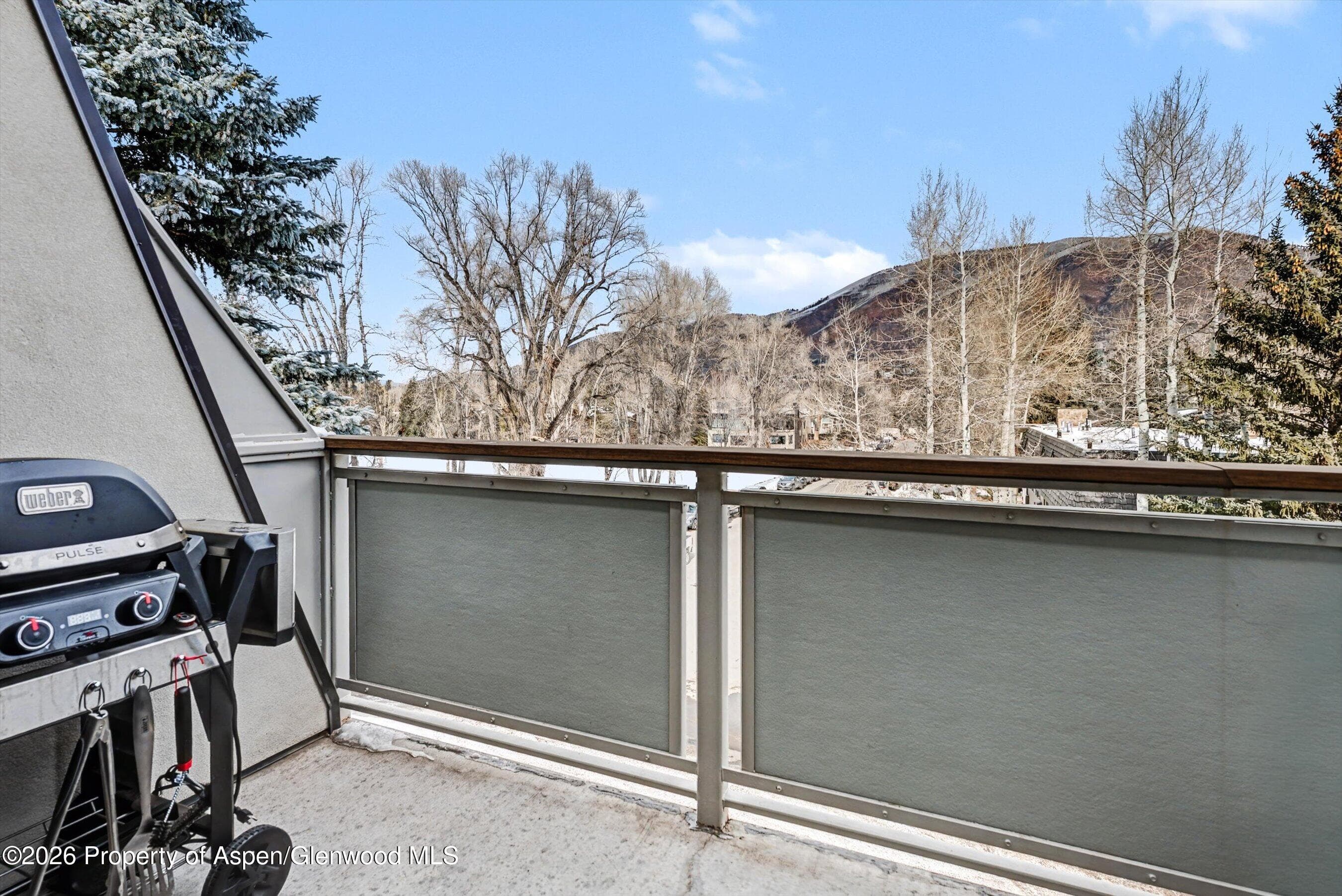 100 E Dean Street 3c, Aspen, CO 81611 - Photo 11