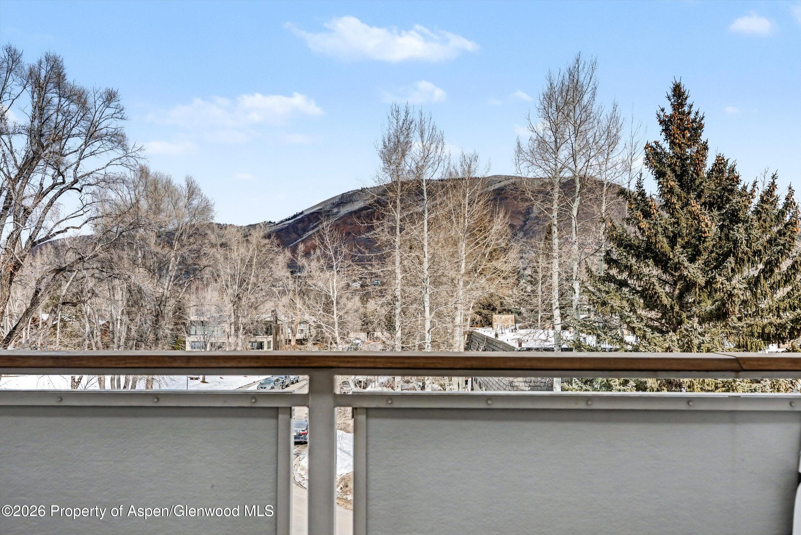 100 E Dean Street 3c, Aspen, CO 81611 - Photo 12