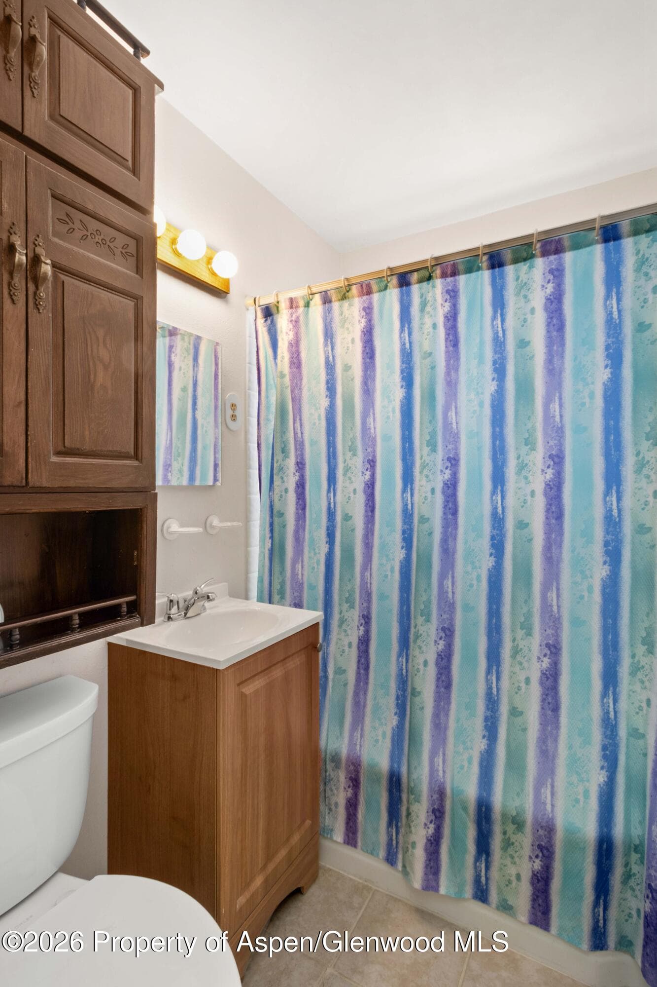 3001 Sopris Avenue, Glenwood Springs, CO 81601 - Photo 12