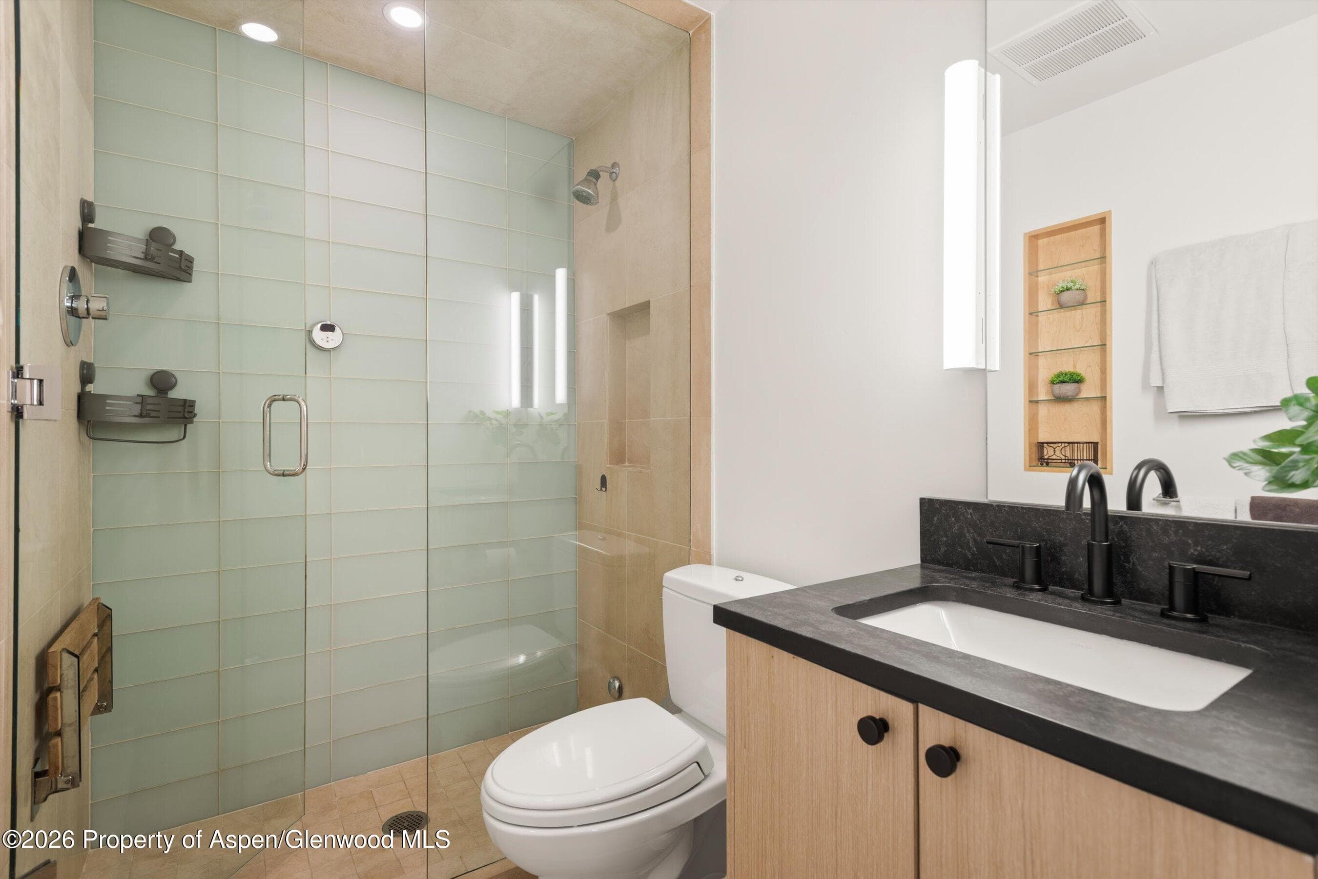 725 E Main Street 107, Aspen, CO 81611 - Photo 11