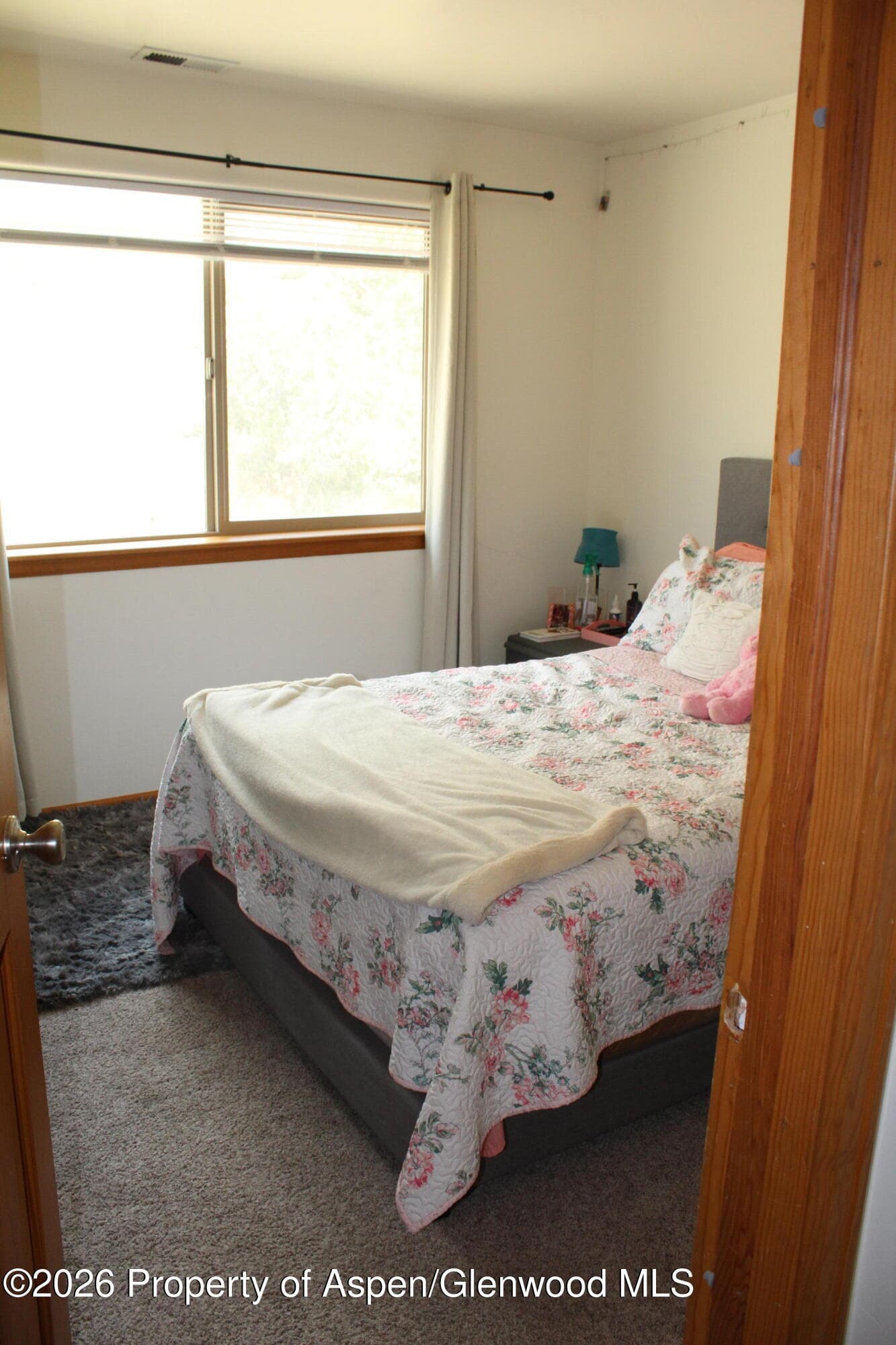 3119 Howard Avenue, Rifle, CO 81650 - Photo 7