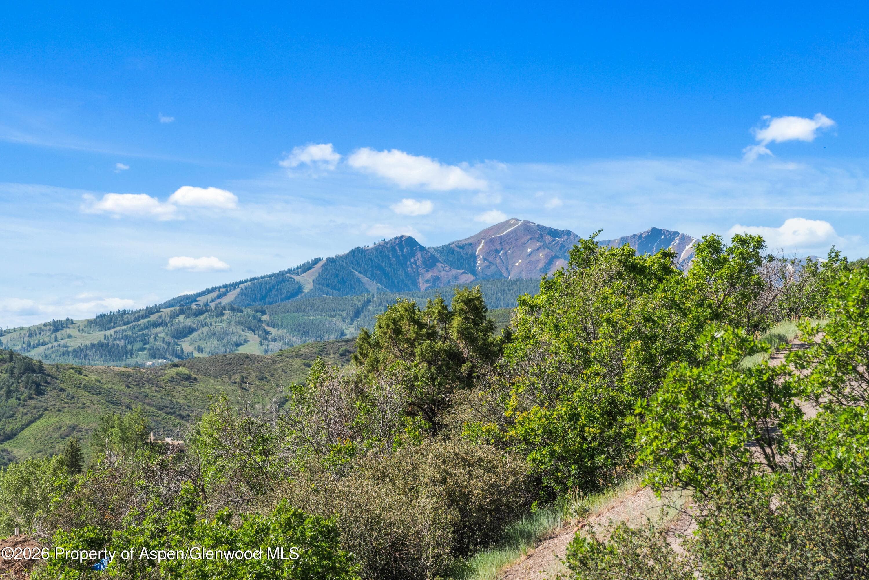 1560 Medicine Bow Road, Aspen, CO 81611 - Photo 37