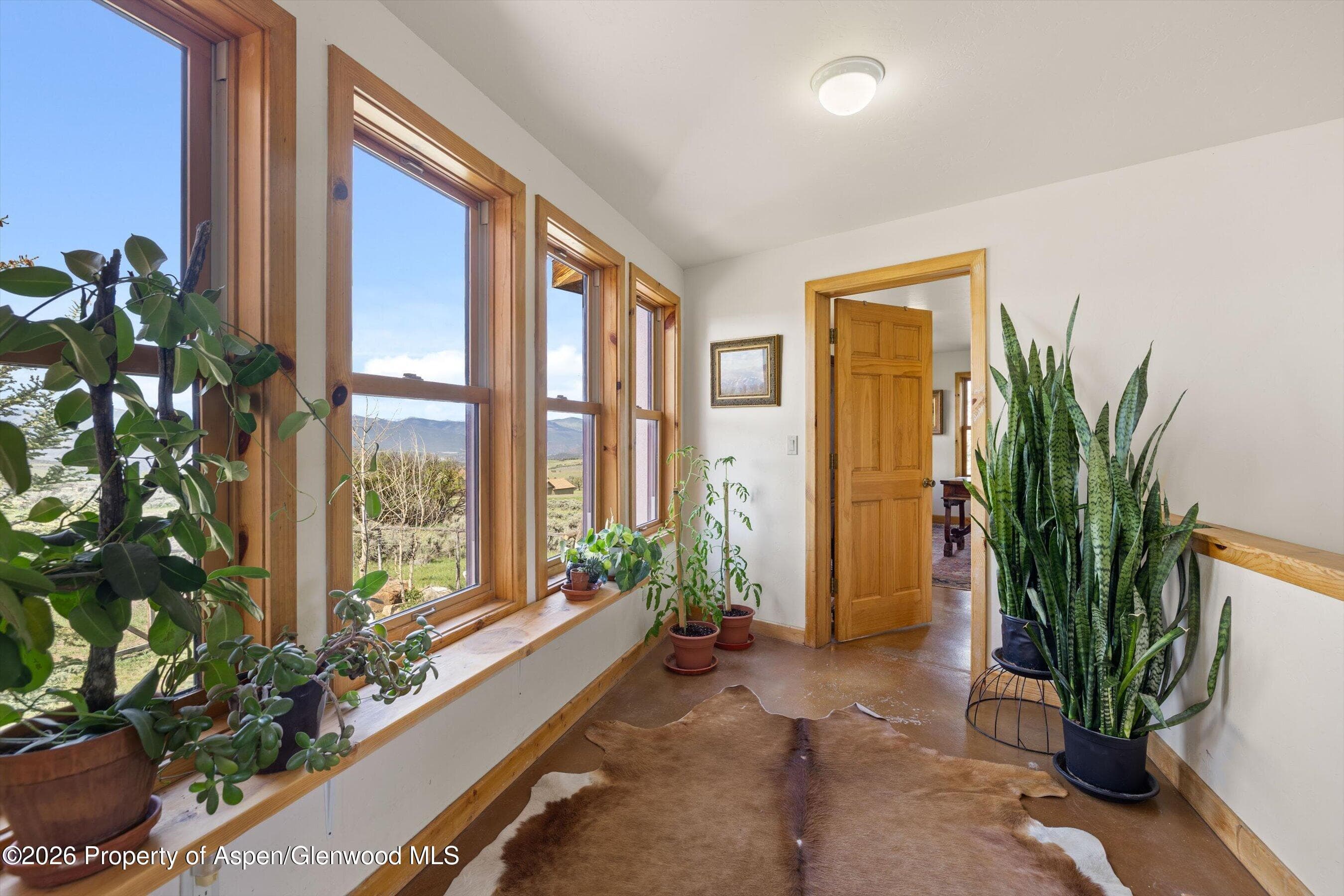 345 Elk Range Road, Carbondale, CO 81623 - Photo 24