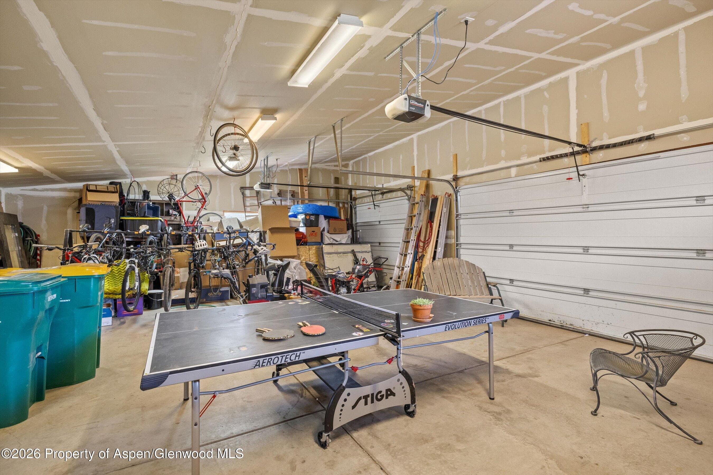 345 Elk Range Road, Carbondale, CO 81623 - Photo 27