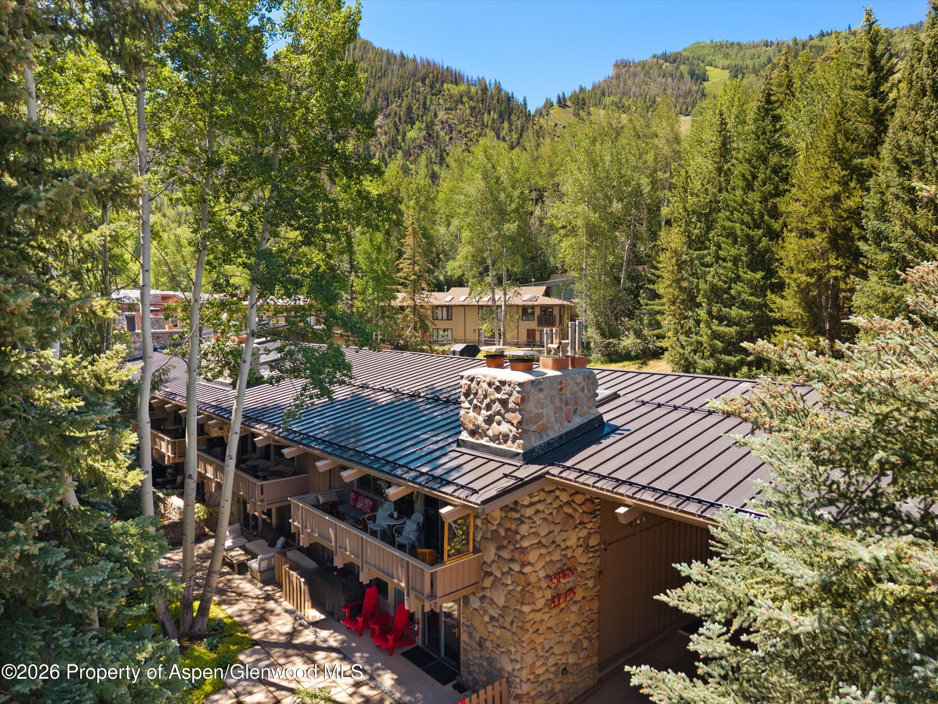 700 Ute Avenue 213, Aspen, CO 81611 - Photo 29