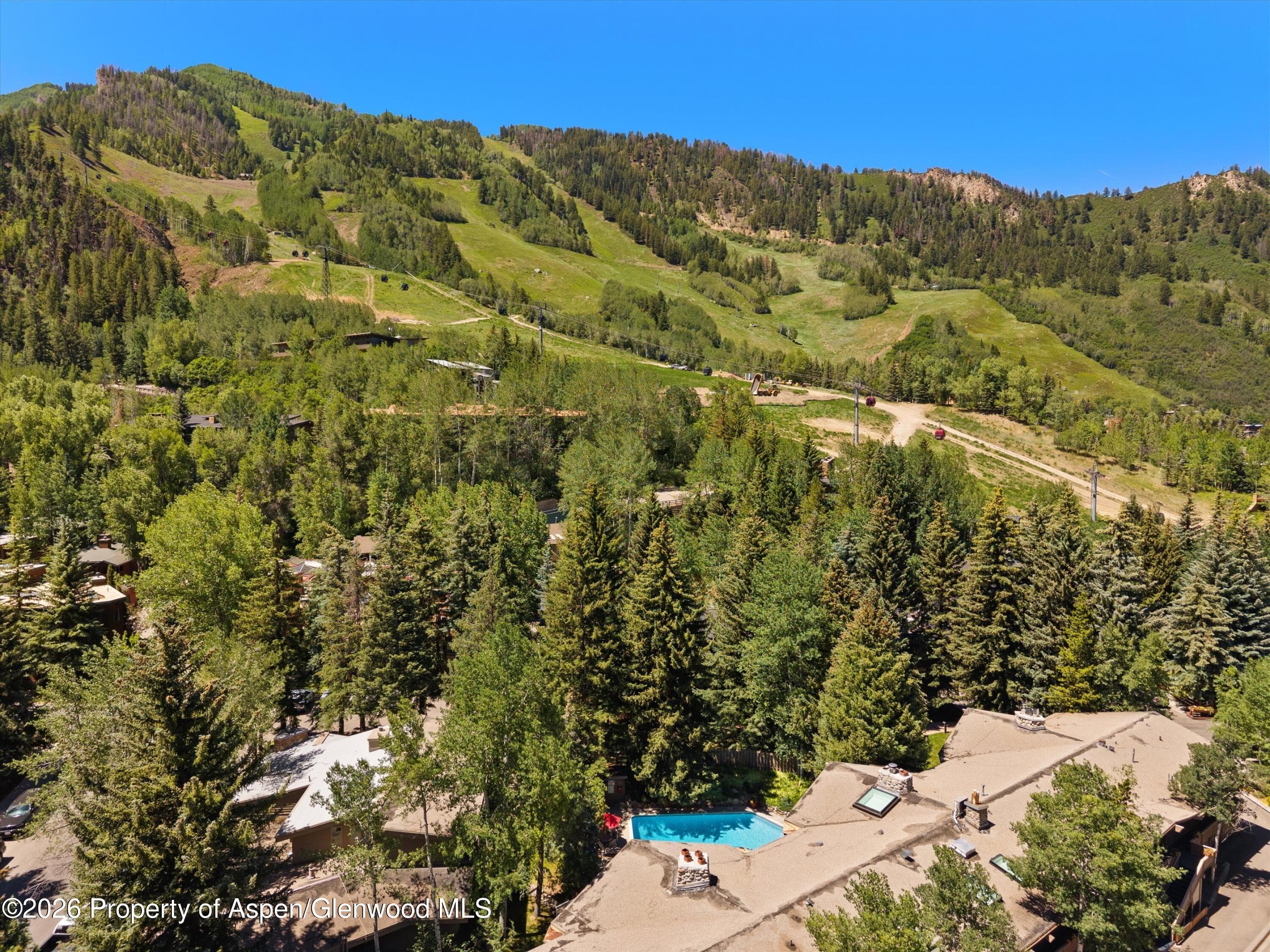 700 Ute Avenue 213, Aspen, CO 81611 - Photo 30
