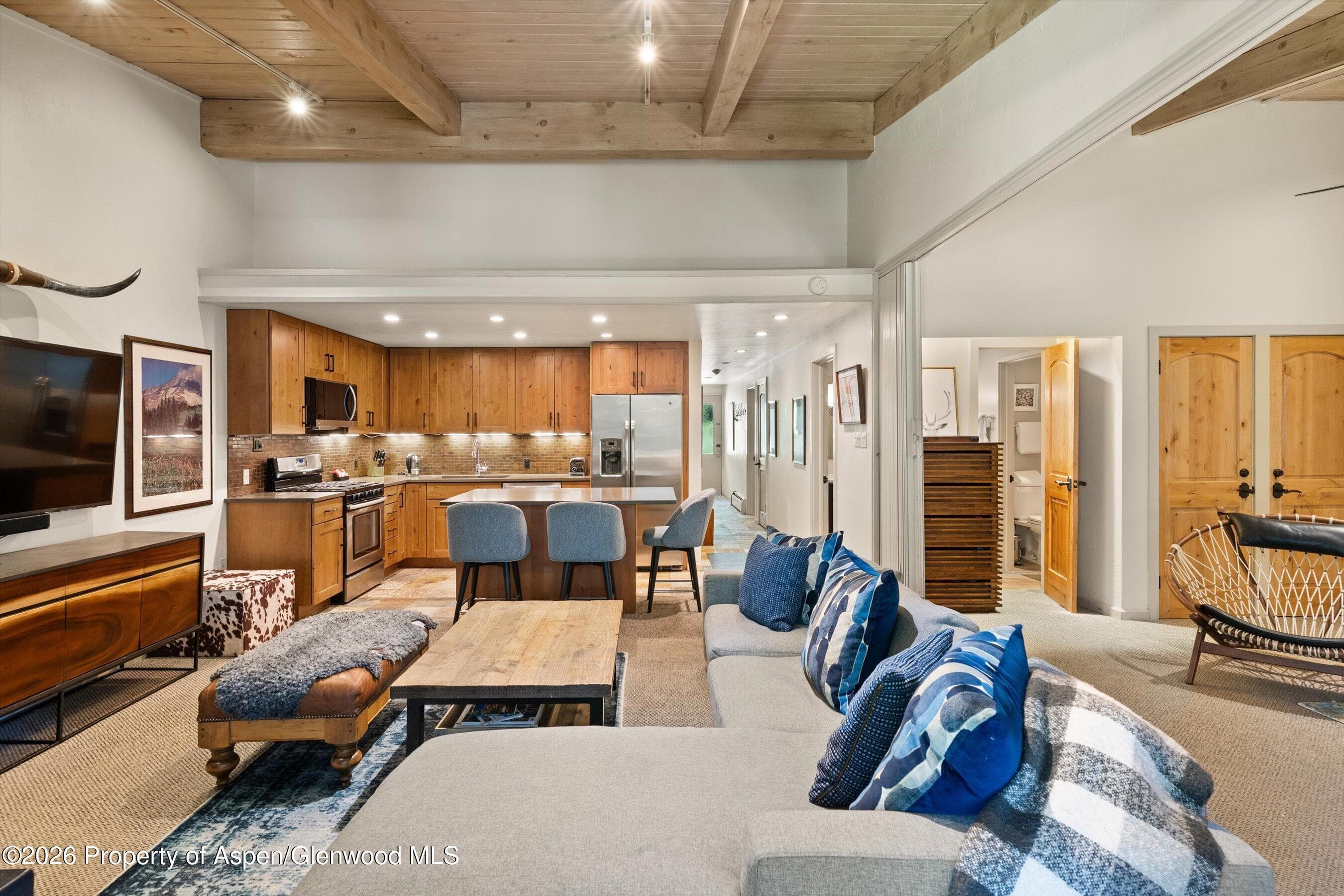 700 Ute Avenue 213, Aspen, CO 81611 - Photo 3