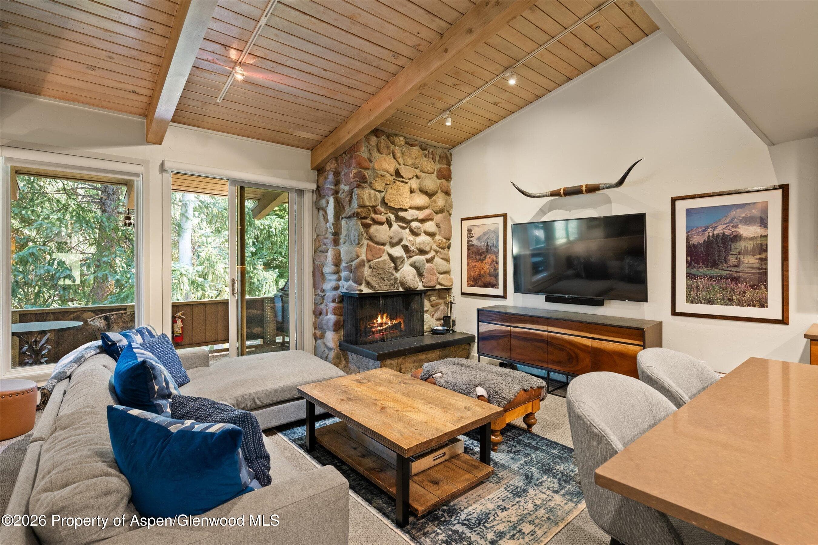 700 Ute Avenue 213, Aspen, CO 81611 - Photo 2