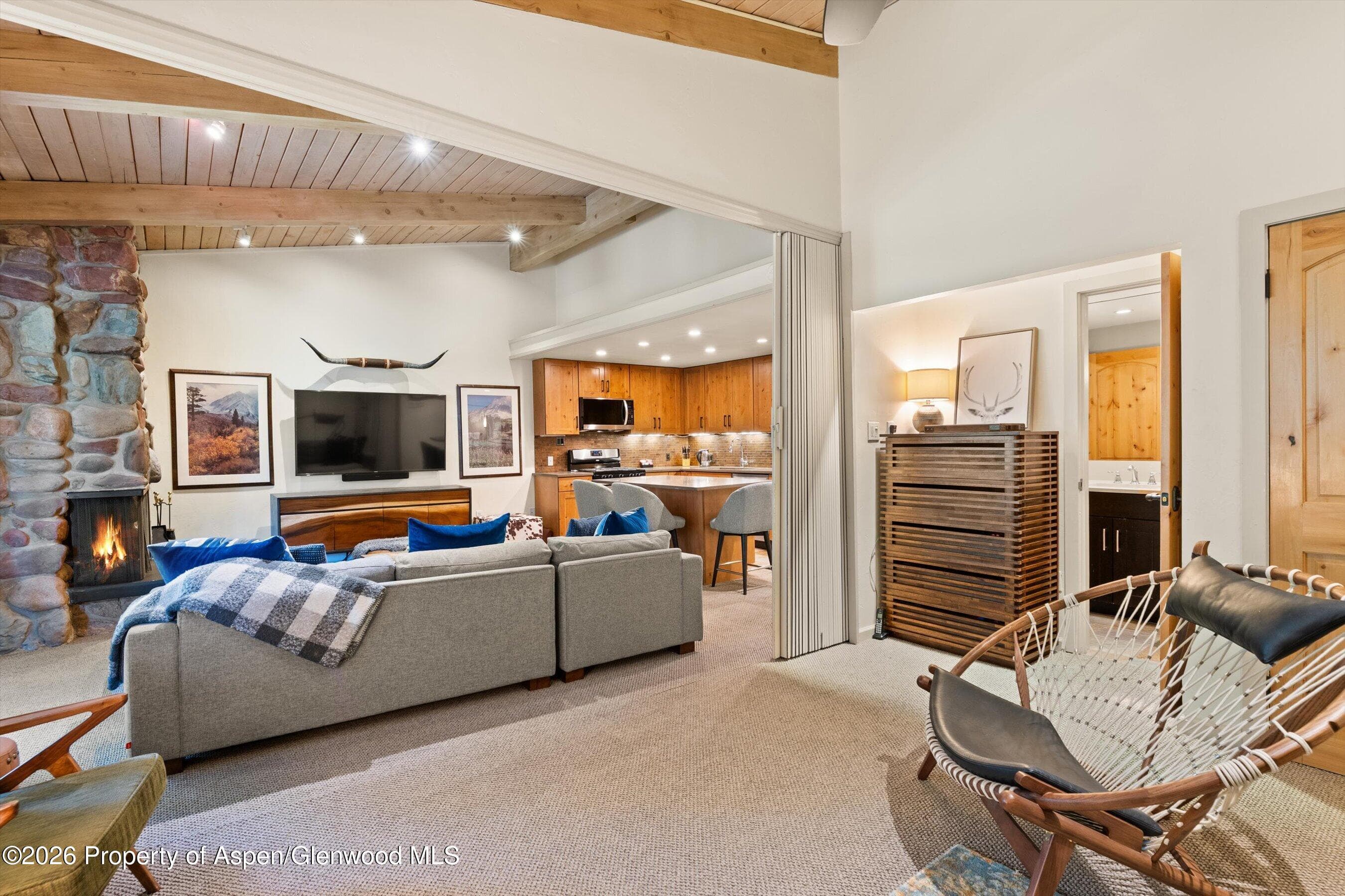 700 Ute Avenue 213, Aspen, CO 81611 - Photo 9