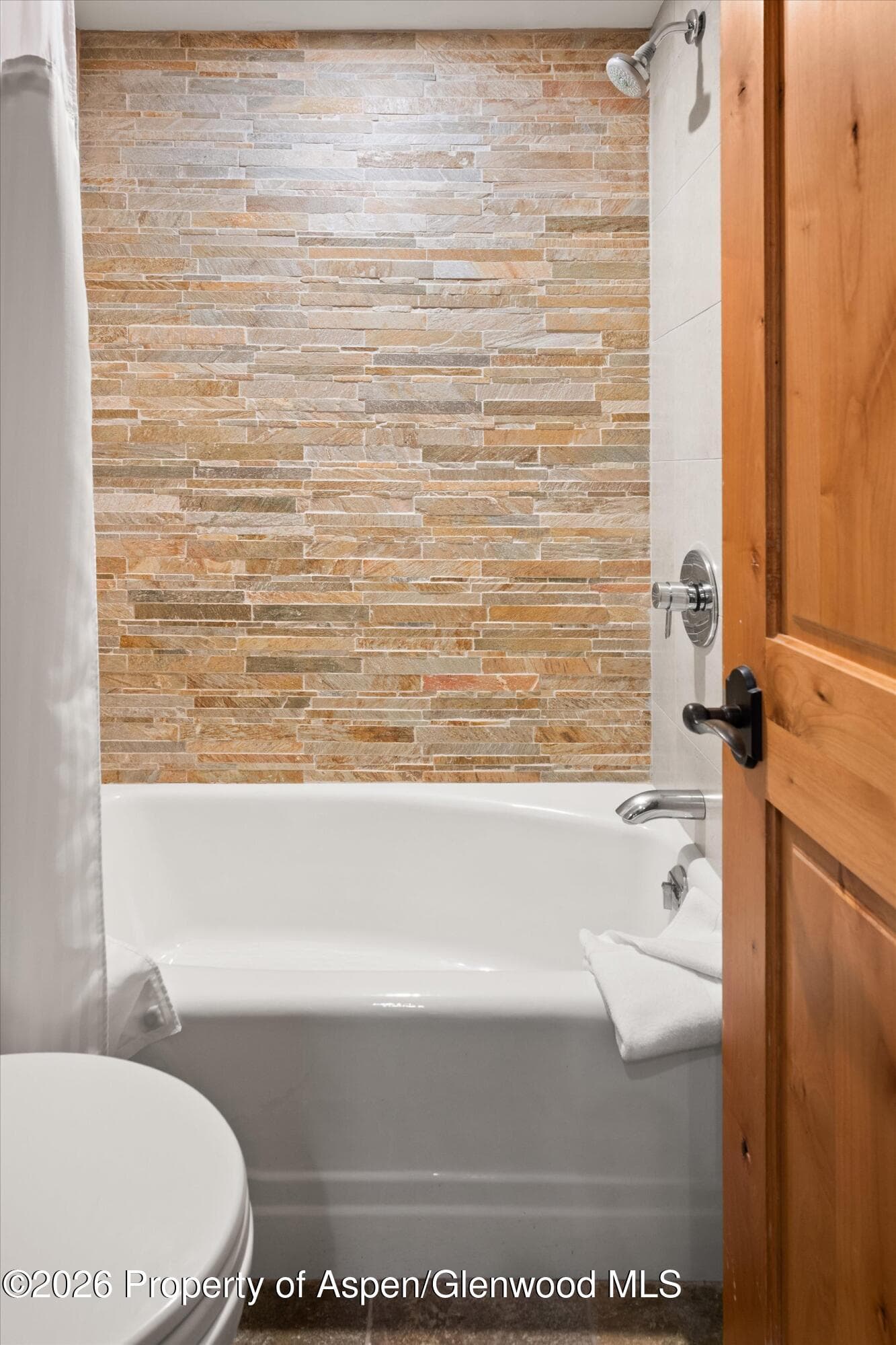 700 Ute Avenue 213, Aspen, CO 81611 - Photo 14