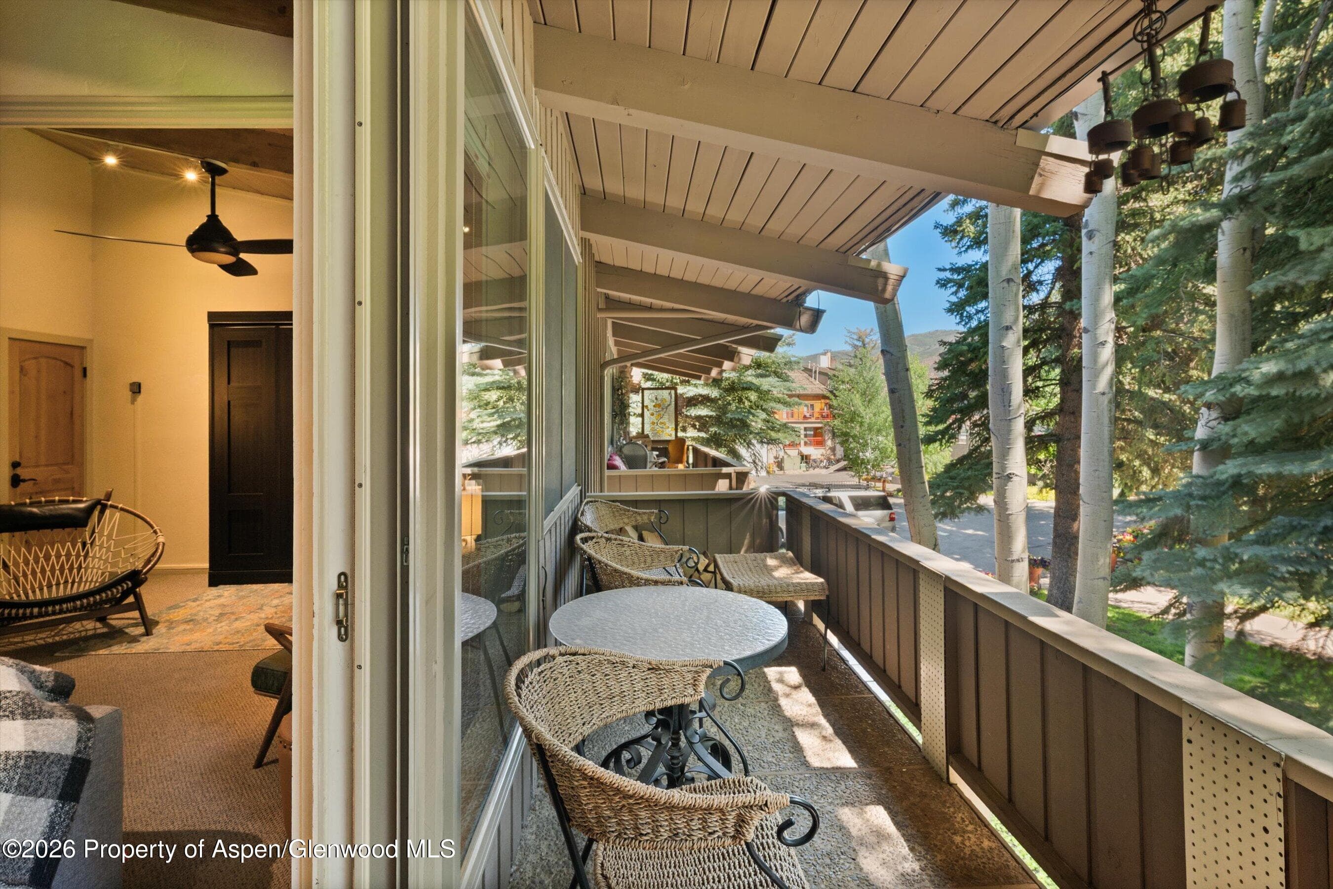 700 Ute Avenue 213, Aspen, CO 81611 - Photo 27