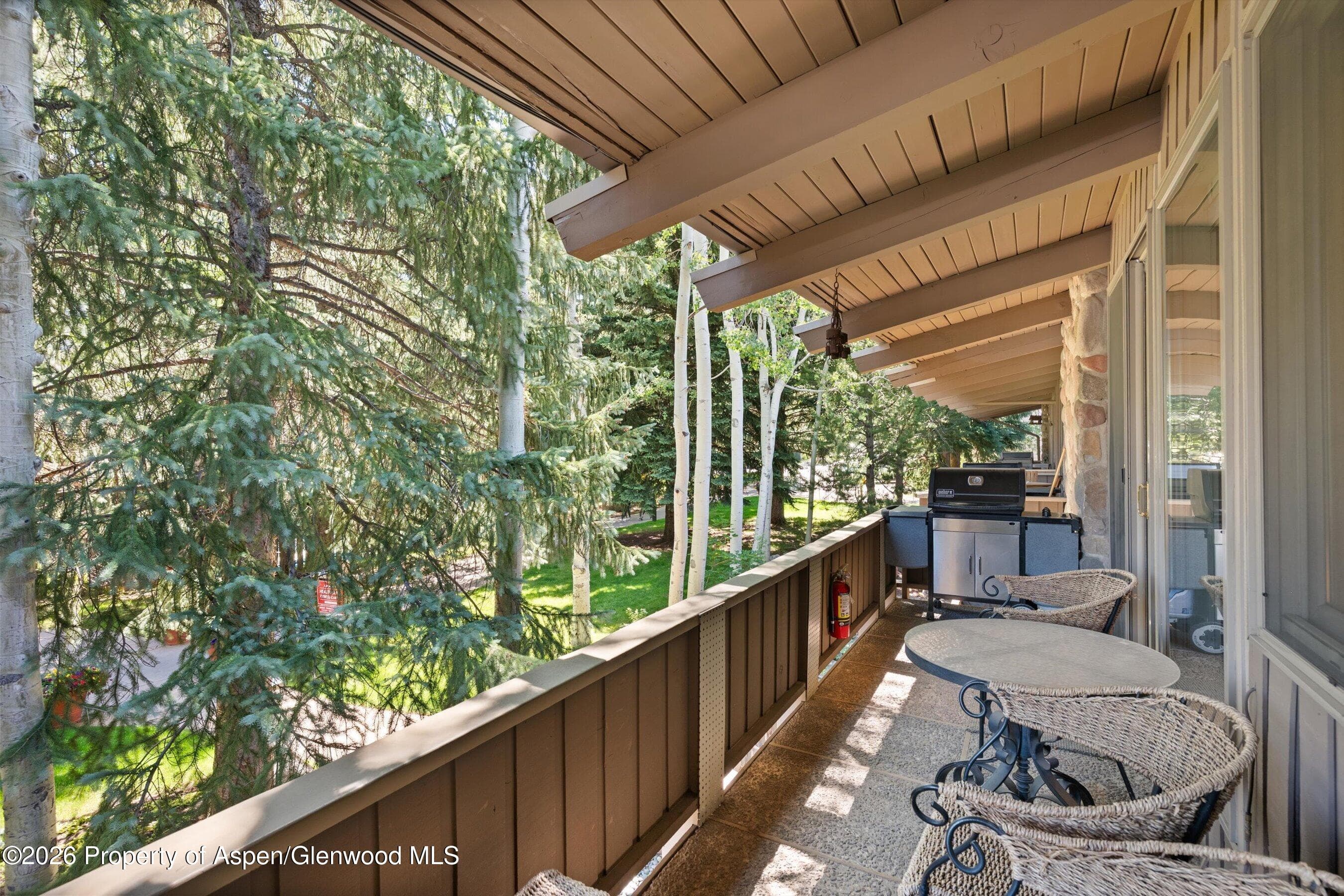 700 Ute Avenue 213, Aspen, CO 81611 - Photo 28