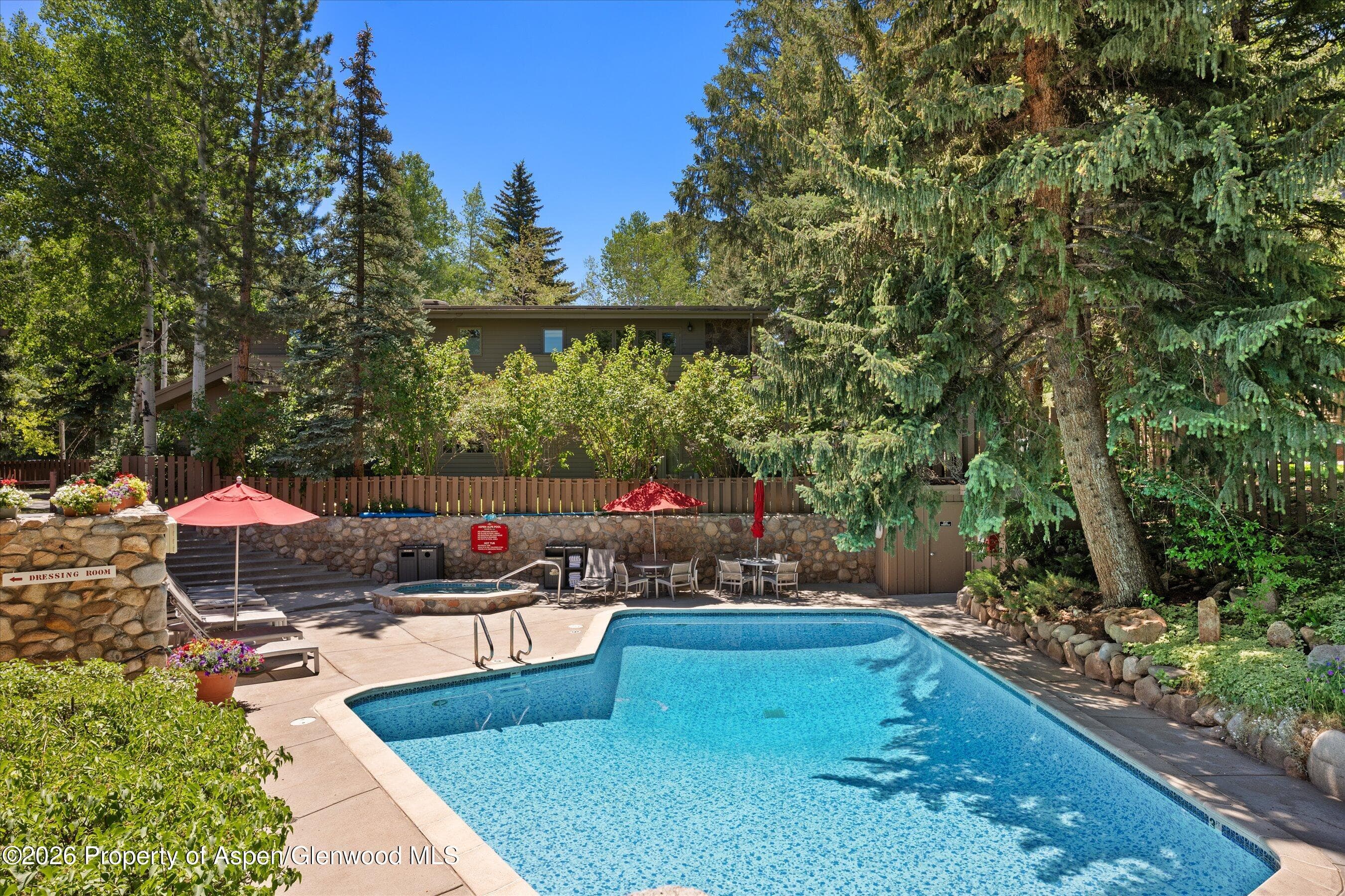 700 Ute Avenue 213, Aspen, CO 81611 - Photo 34