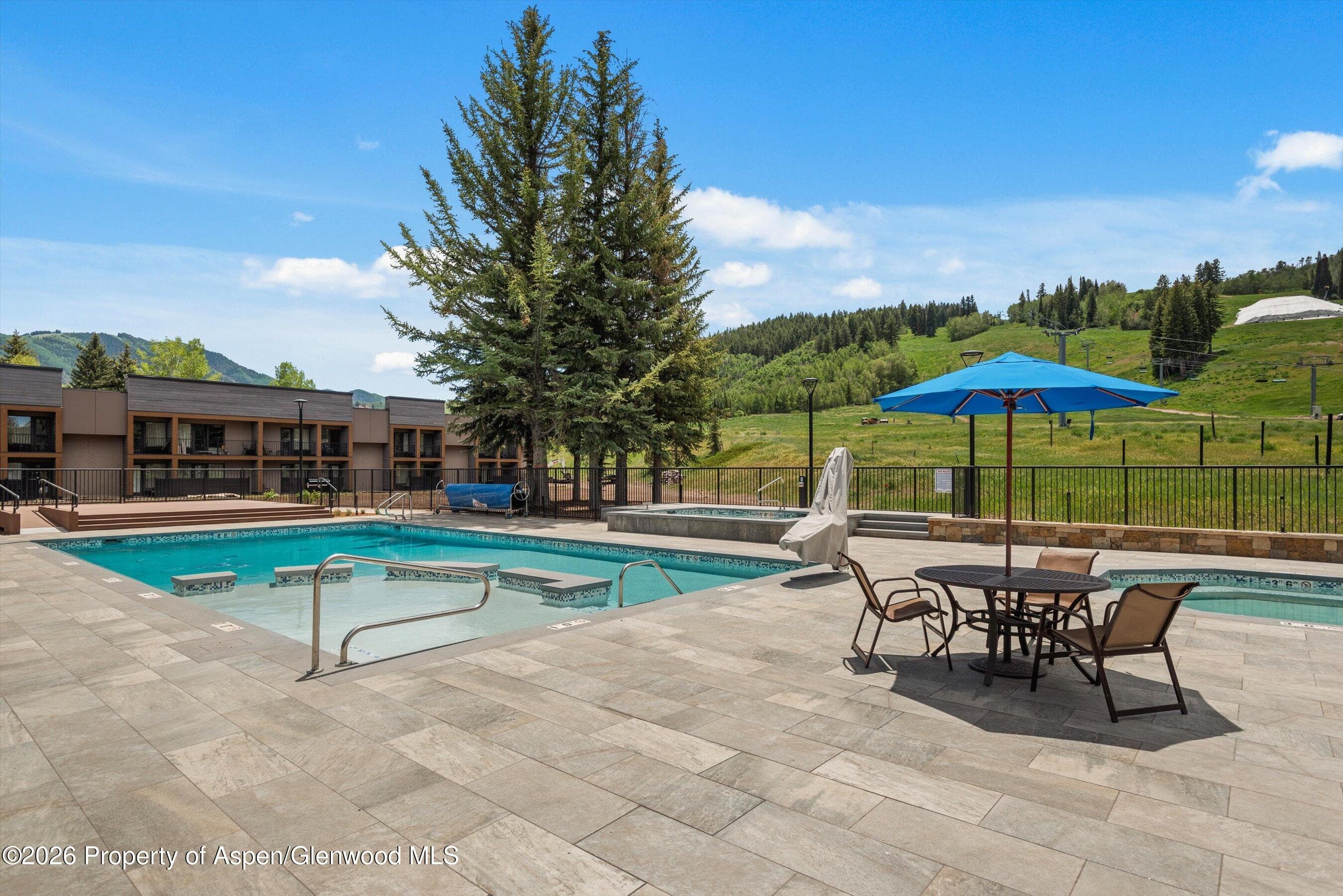 38750 Hwy 82 1109, Aspen, CO 81611 - Photo 24