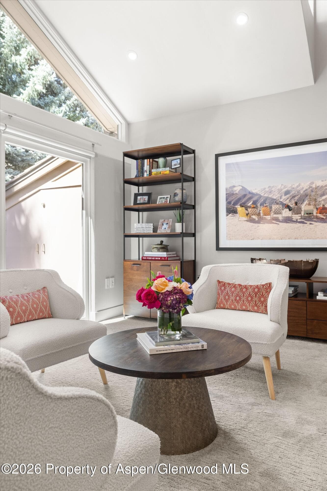625 S West End Street #7, Aspen, CO 81611 - Photo 6