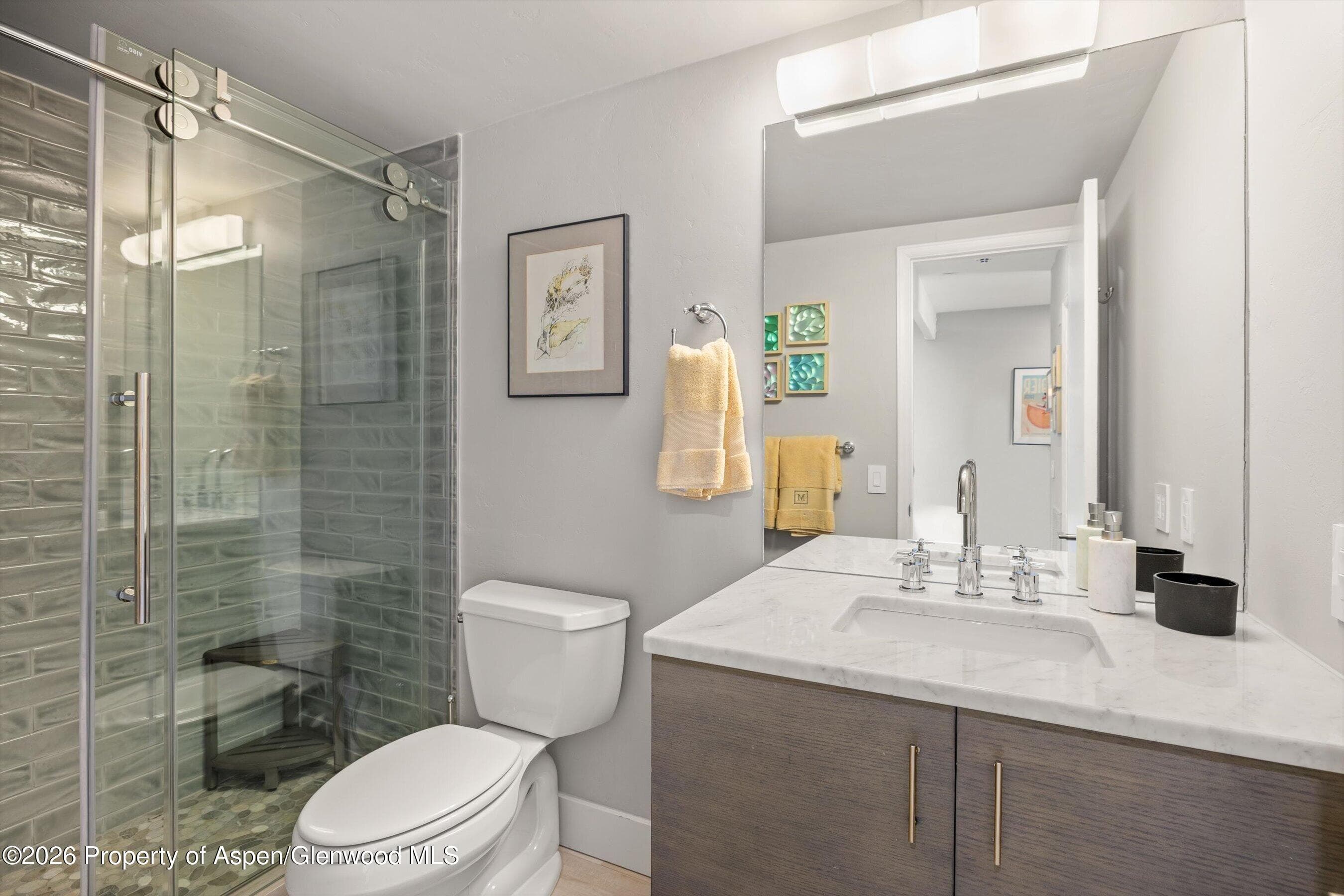 625 S West End Street #7, Aspen, CO 81611 - Photo 13