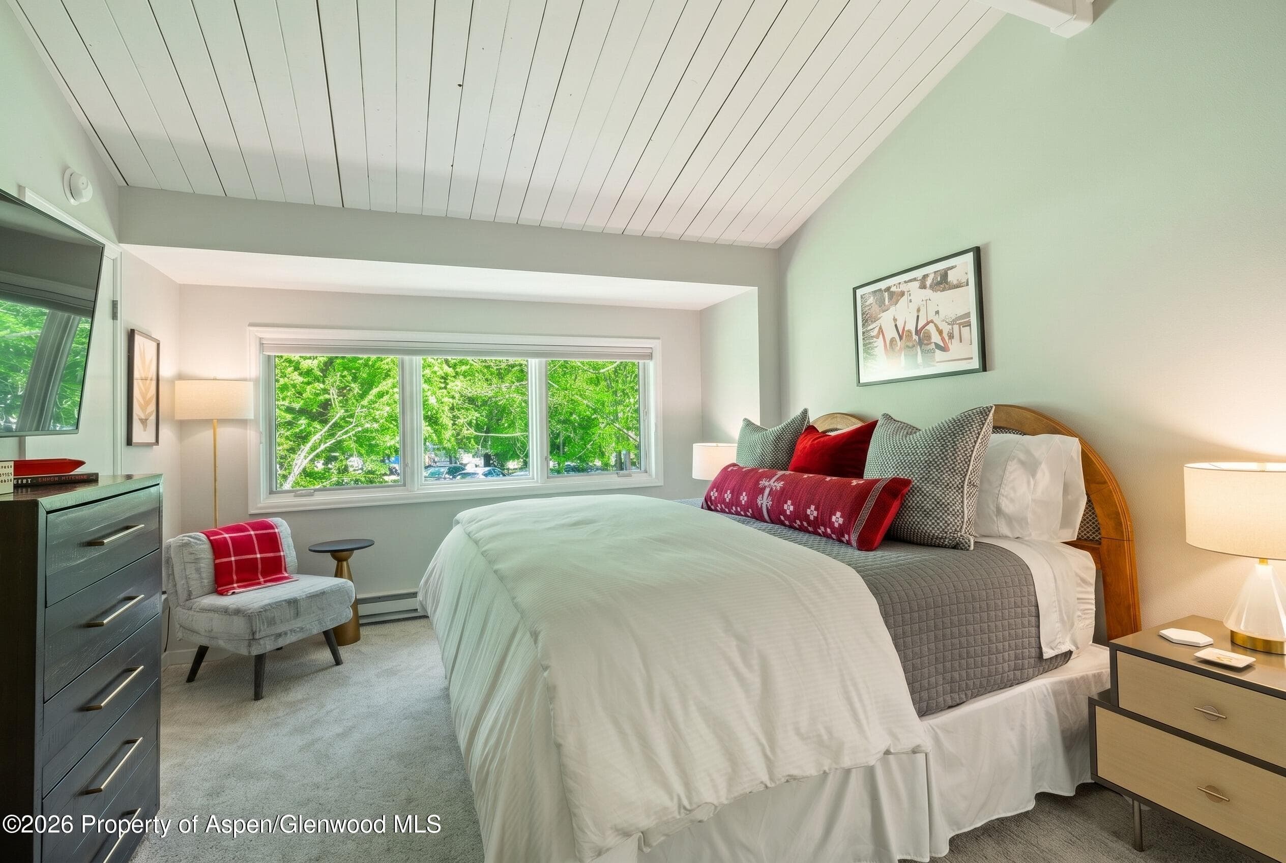 625 S West End Street #7, Aspen, CO 81611 - Photo 14