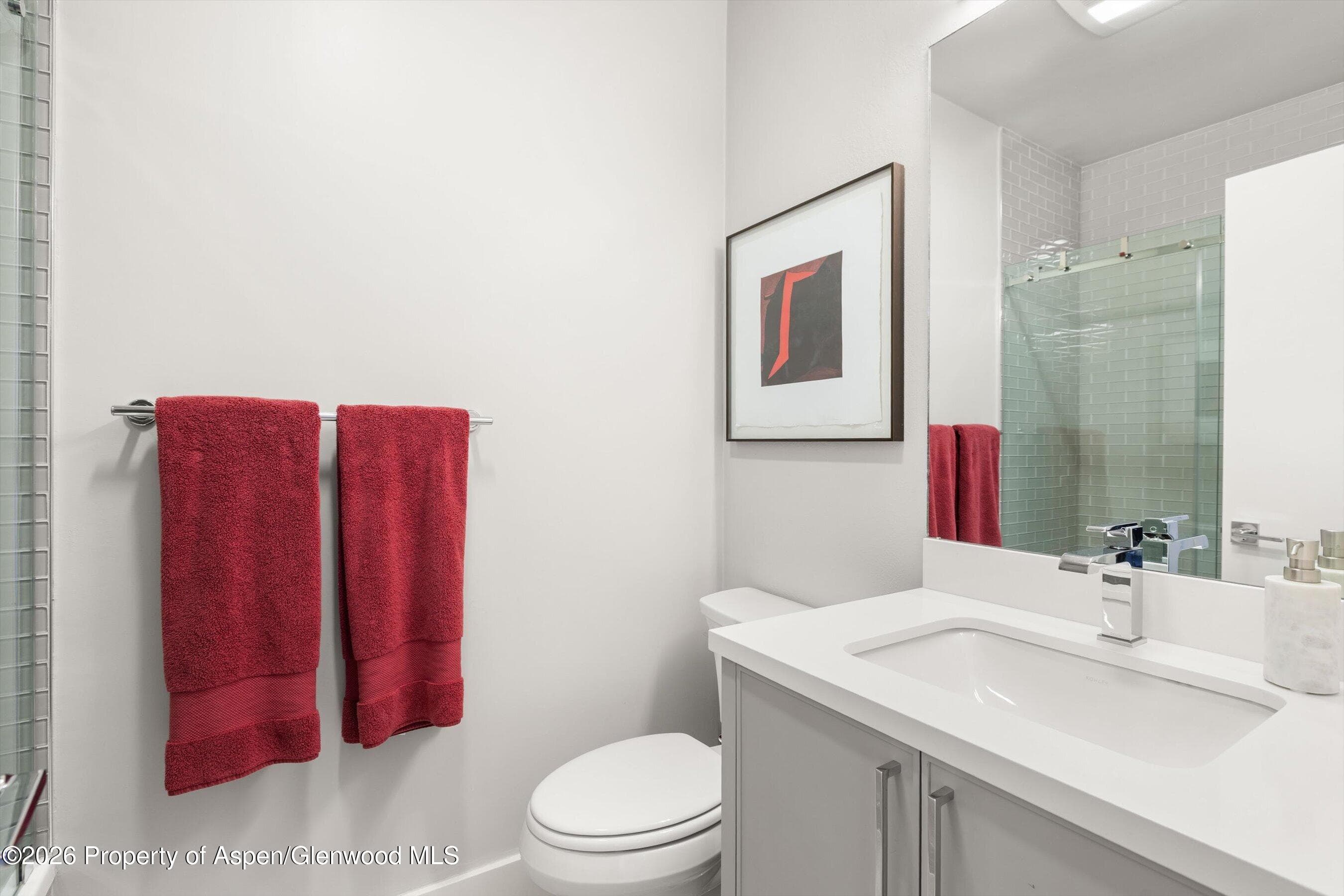 625 S West End Street #7, Aspen, CO 81611 - Photo 15