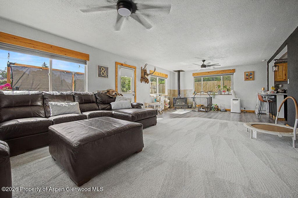 890 Barclay Street, Craig, CO 81625 - Photo 16