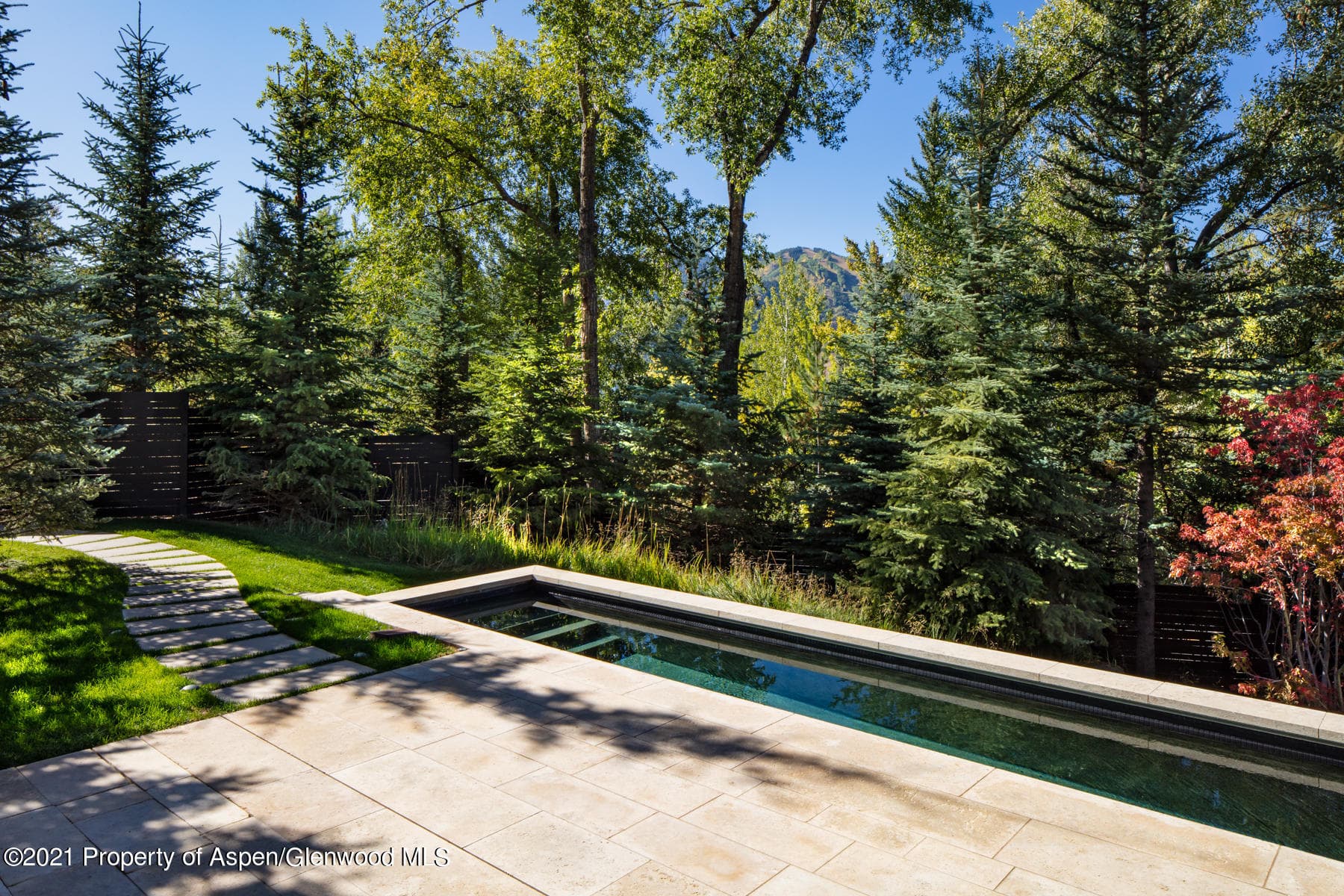 979 Red Mountain Road, Aspen, CO 81611 - Photo 25