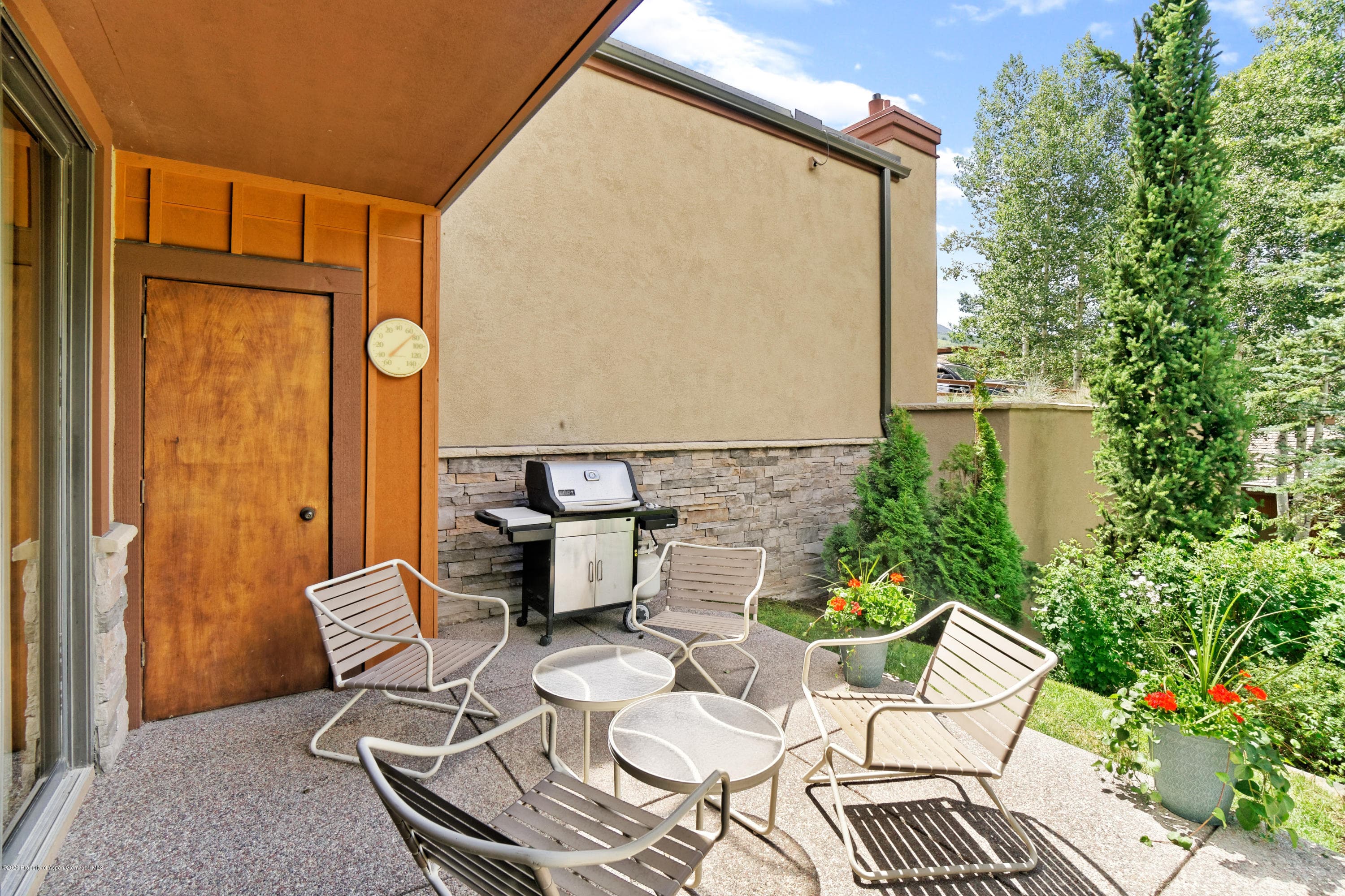 800 Ridge Road #9, Snowmass Village, CO 81615 - Photo 19