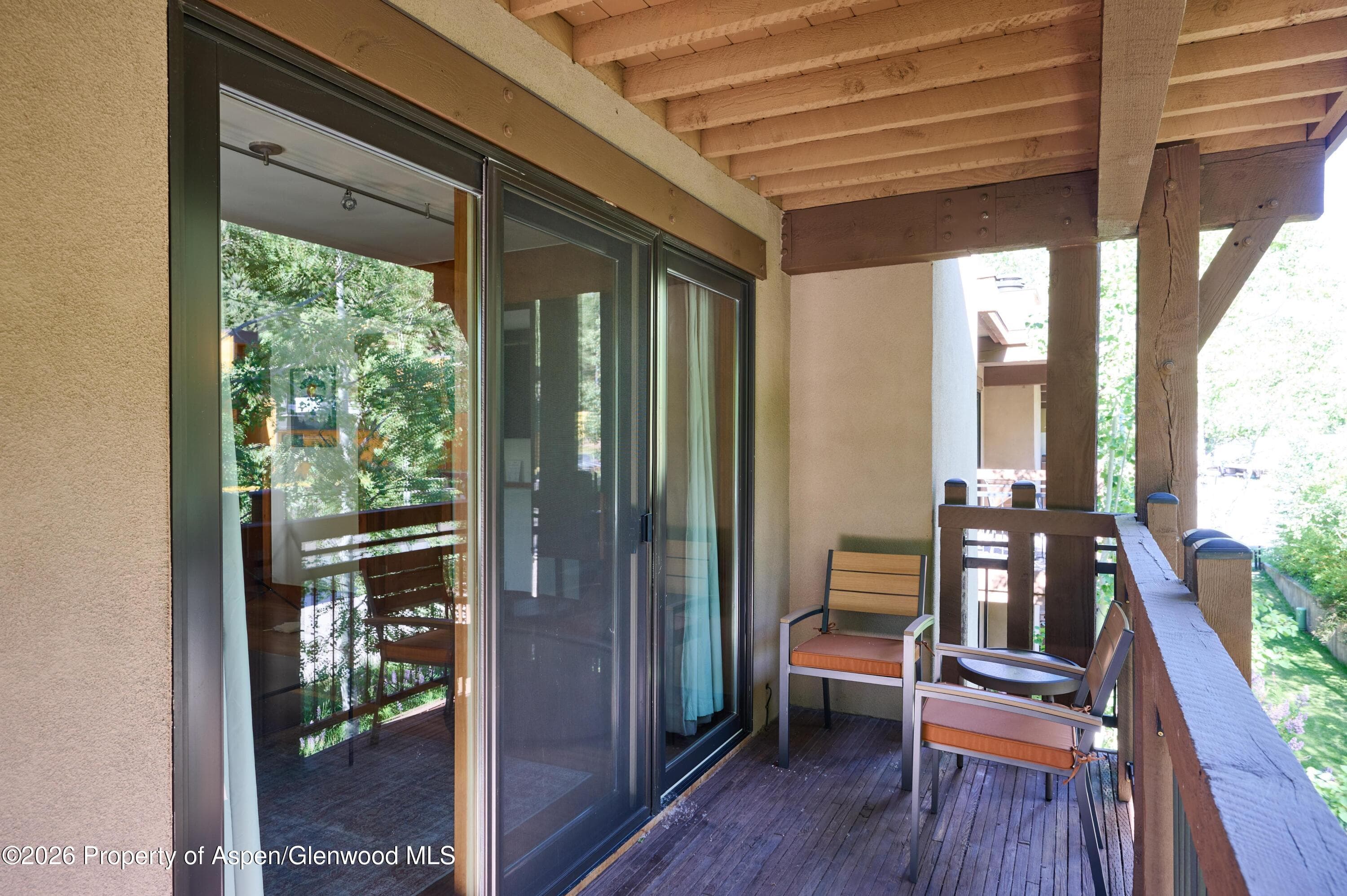 131 E Durant Avenue 410, Aspen, CO 81611 - Photo 12